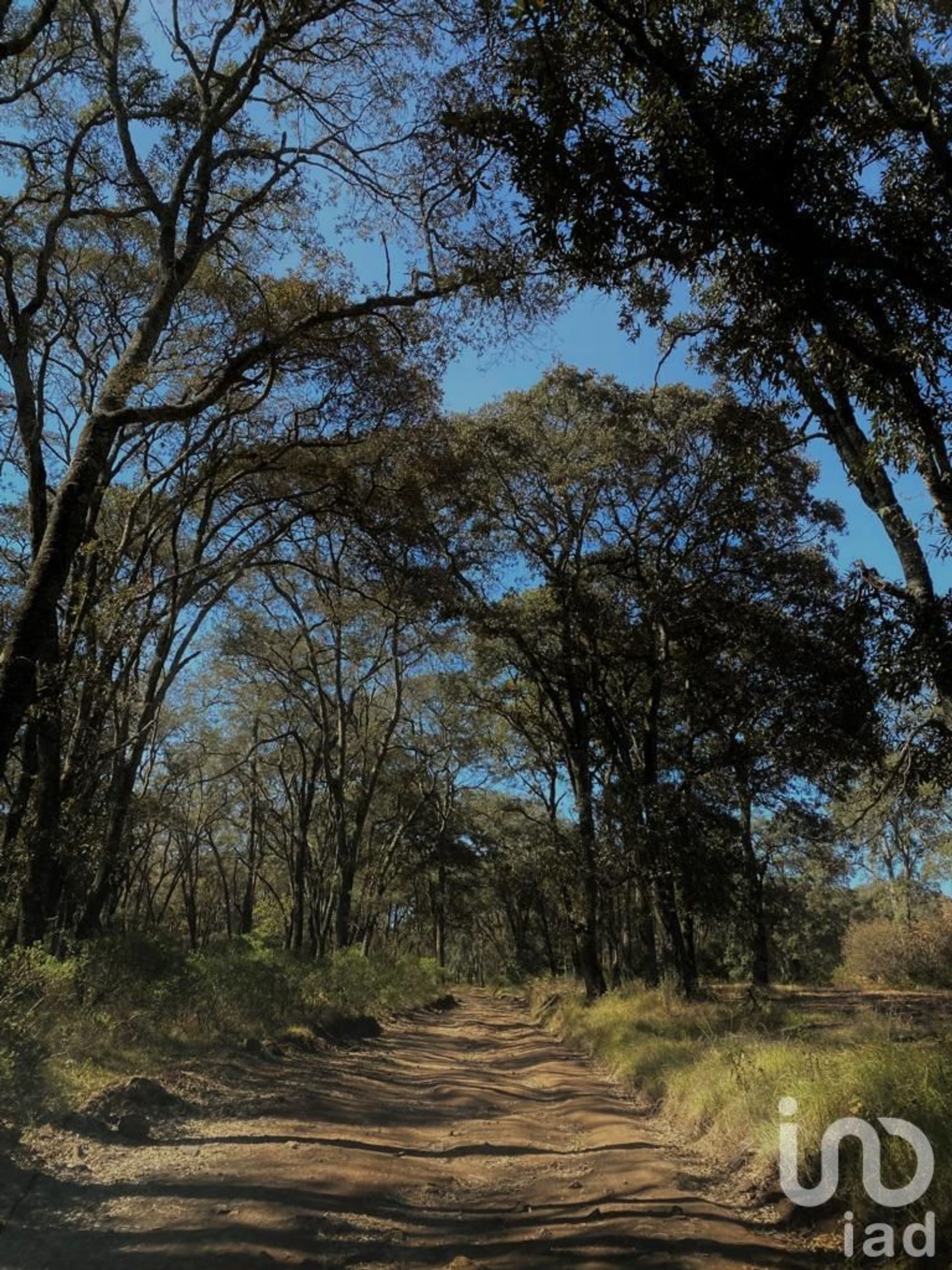 Land in Matías Rodríguez, Hidalgo 12680106