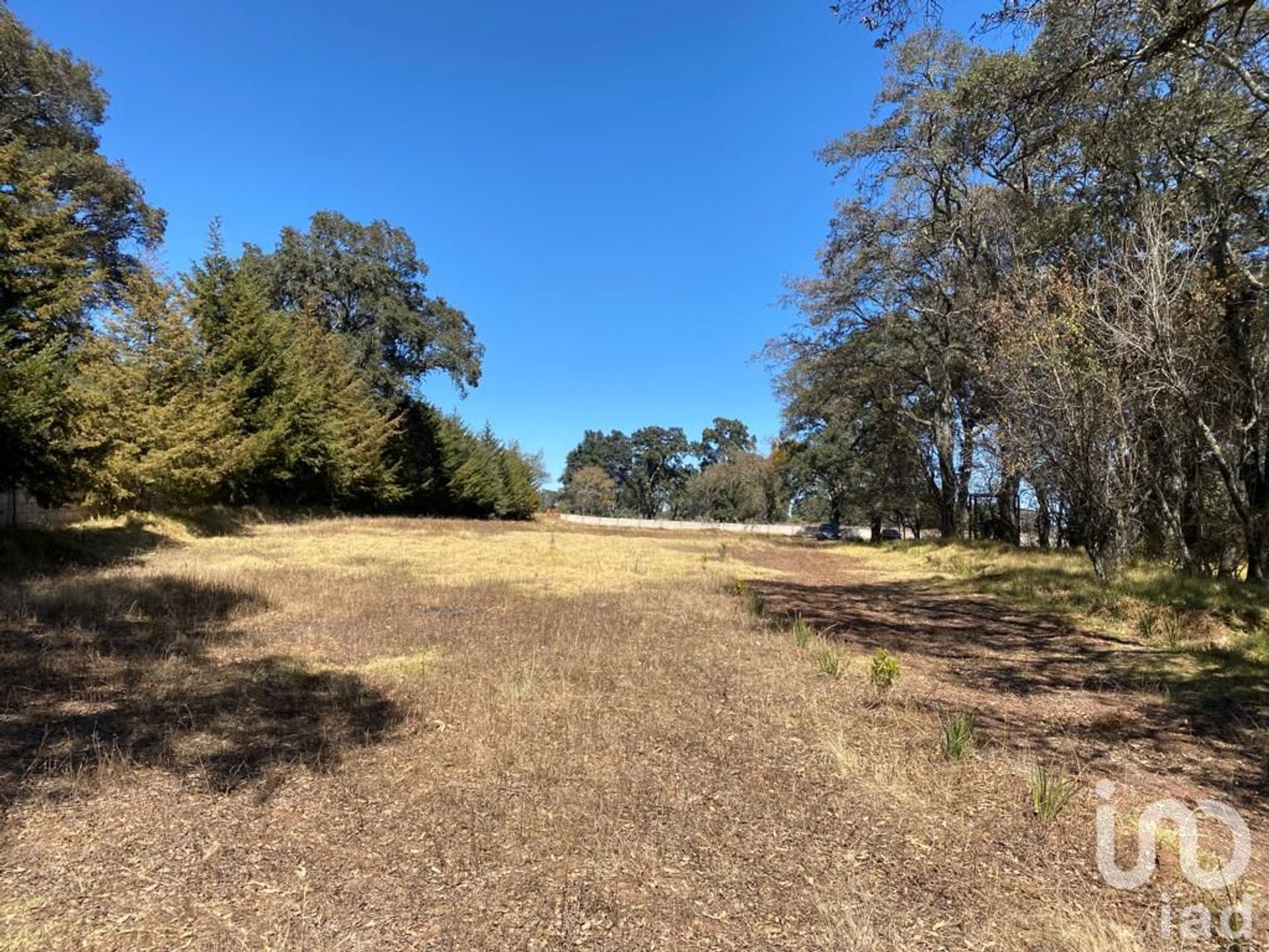 Land in Matías Rodríguez, Hidalgo 12680106