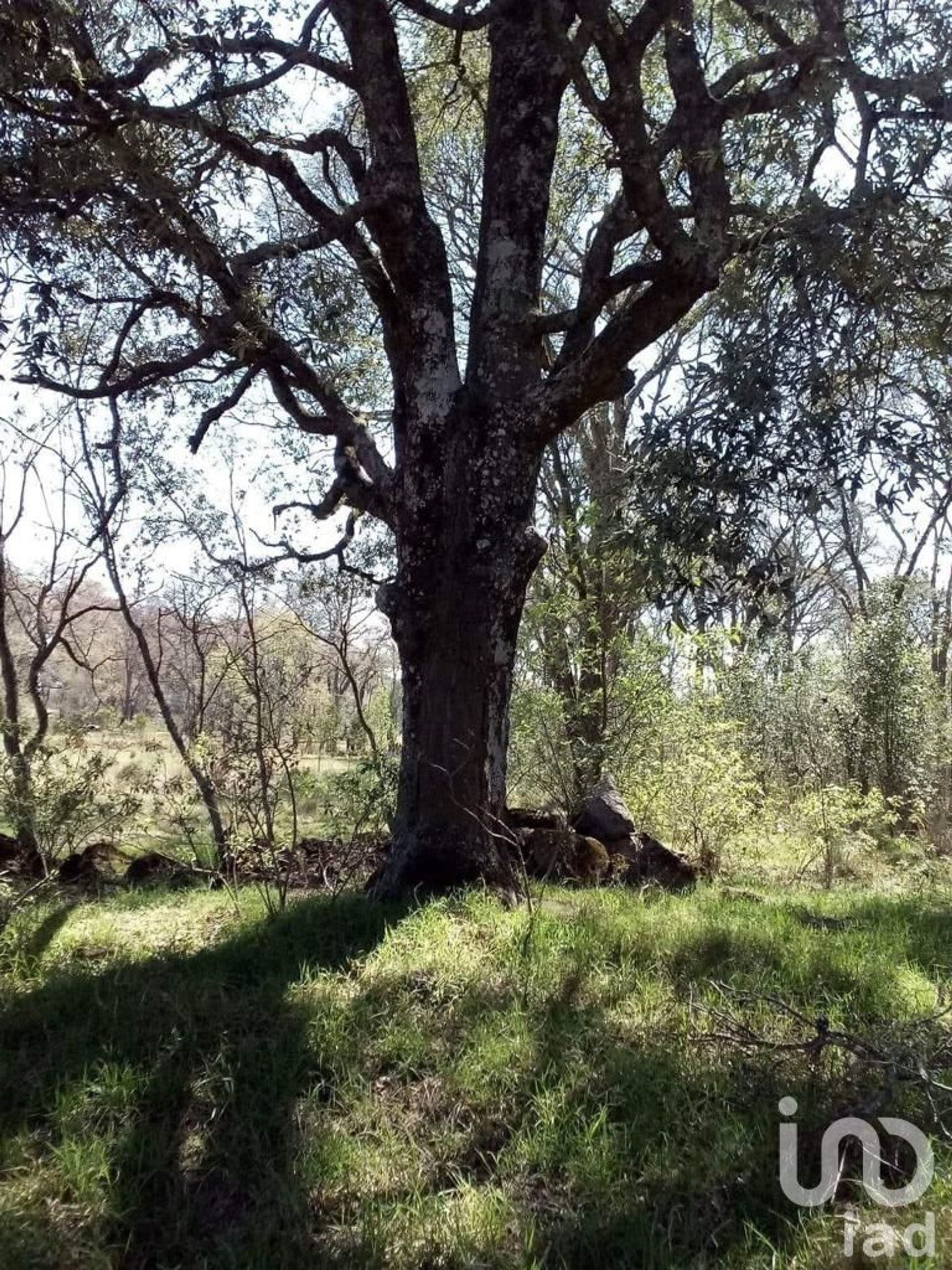 Land in Matías Rodríguez, Hidalgo 12680106