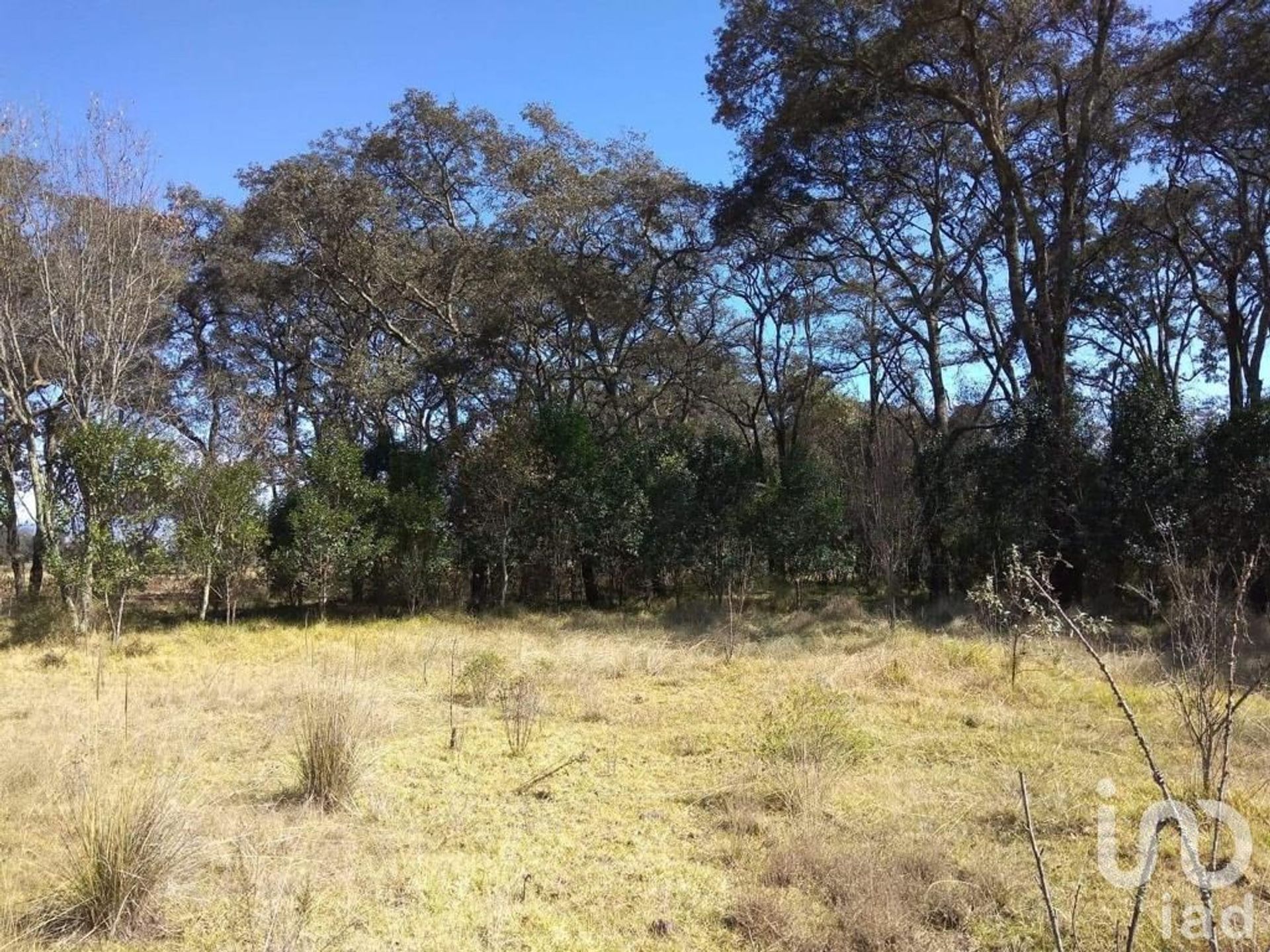 Land in Matías Rodríguez, Hidalgo 12680106