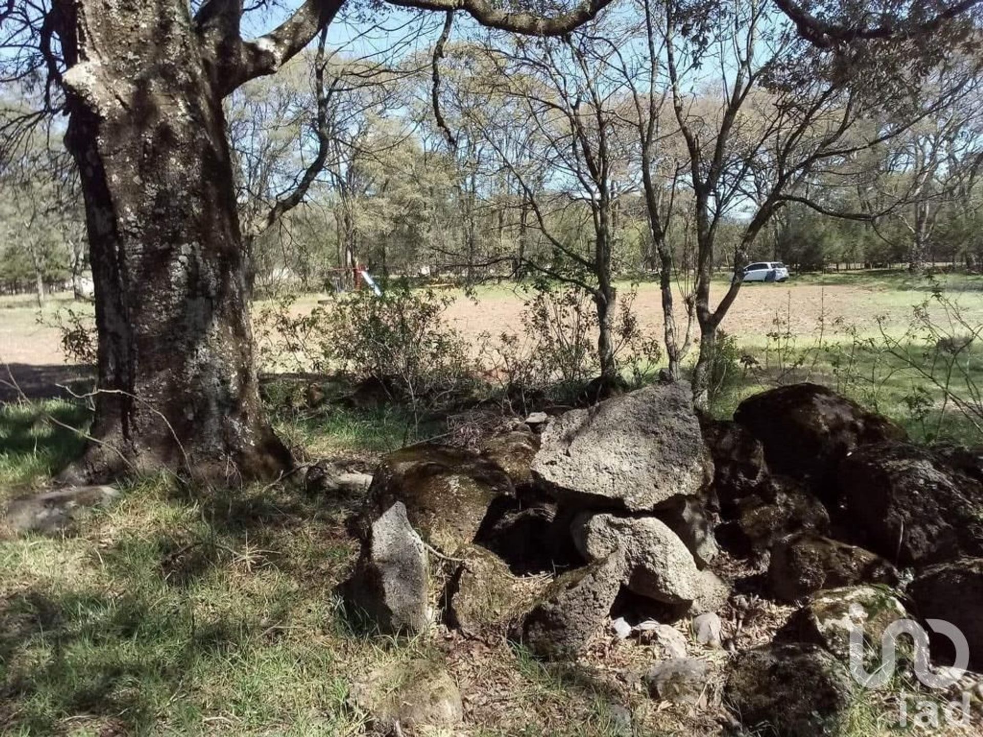 Land in Matías Rodríguez, Hidalgo 12680106