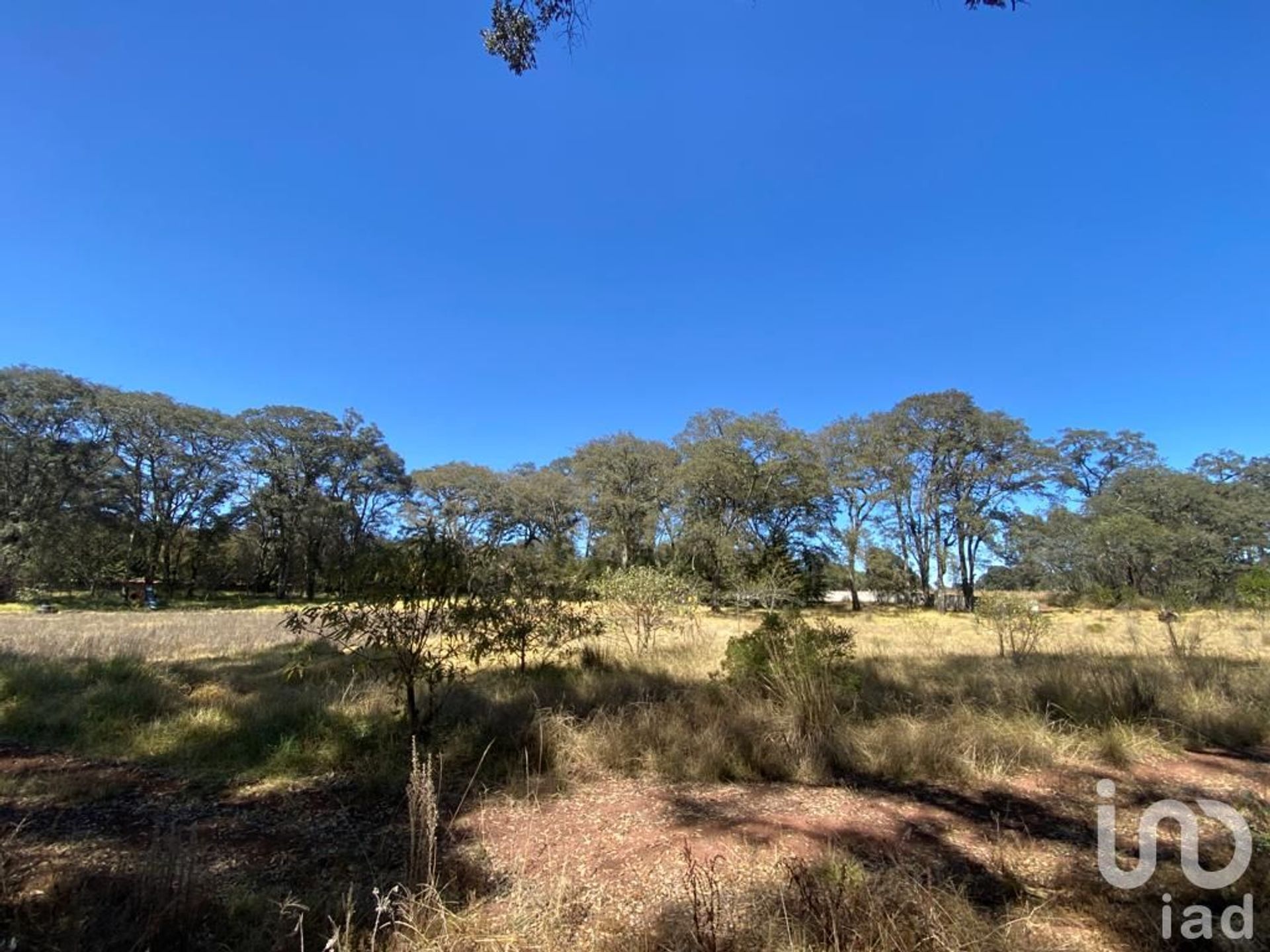 Land in Matías Rodríguez, Hidalgo 12680106