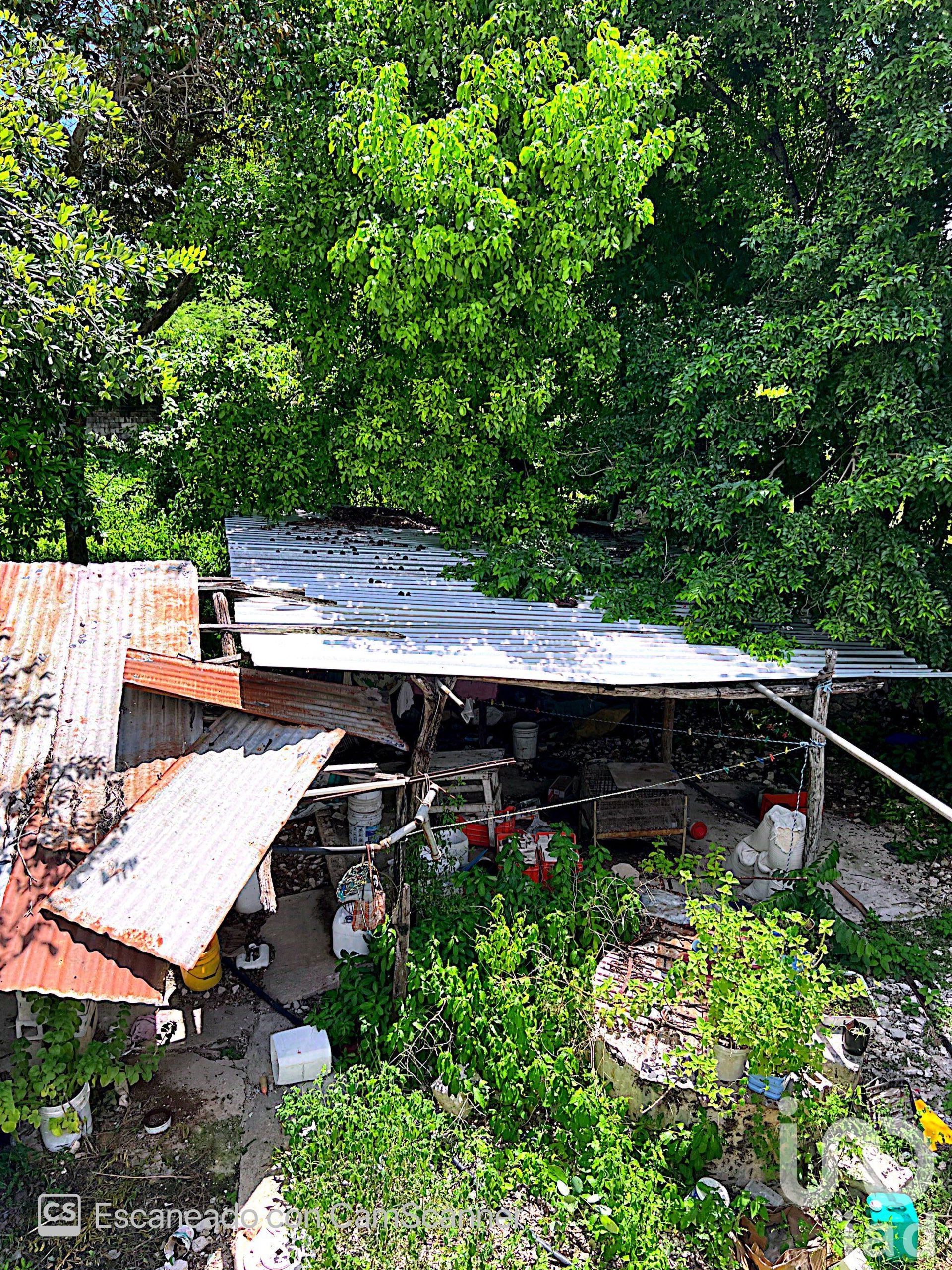 Γη σε Hunucmá, Yucatán 12680227