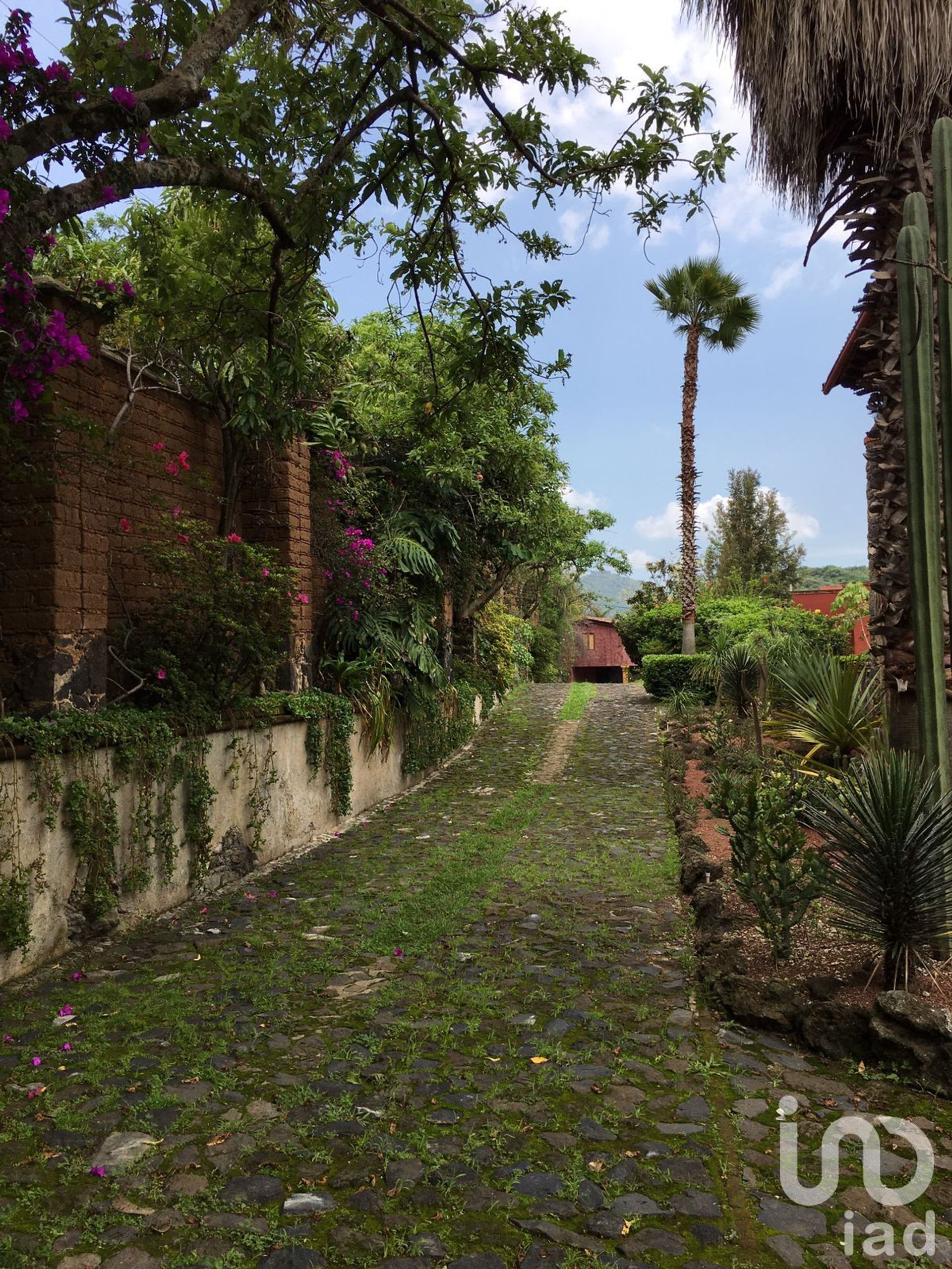 casa en Malinalco, Estado de México 12680252