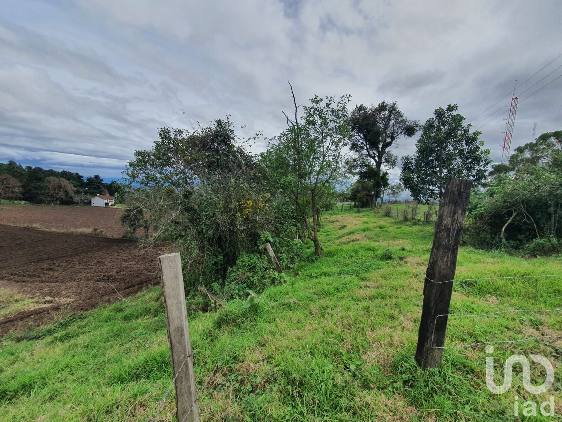 Tanah di Jilotepec, Veracruz 12680704