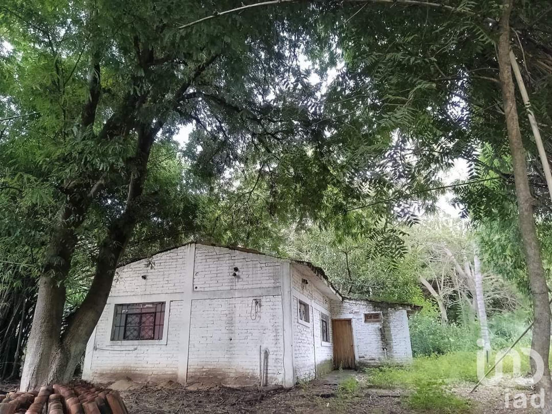 Casa nel Bucerías, Nayarit 12680762