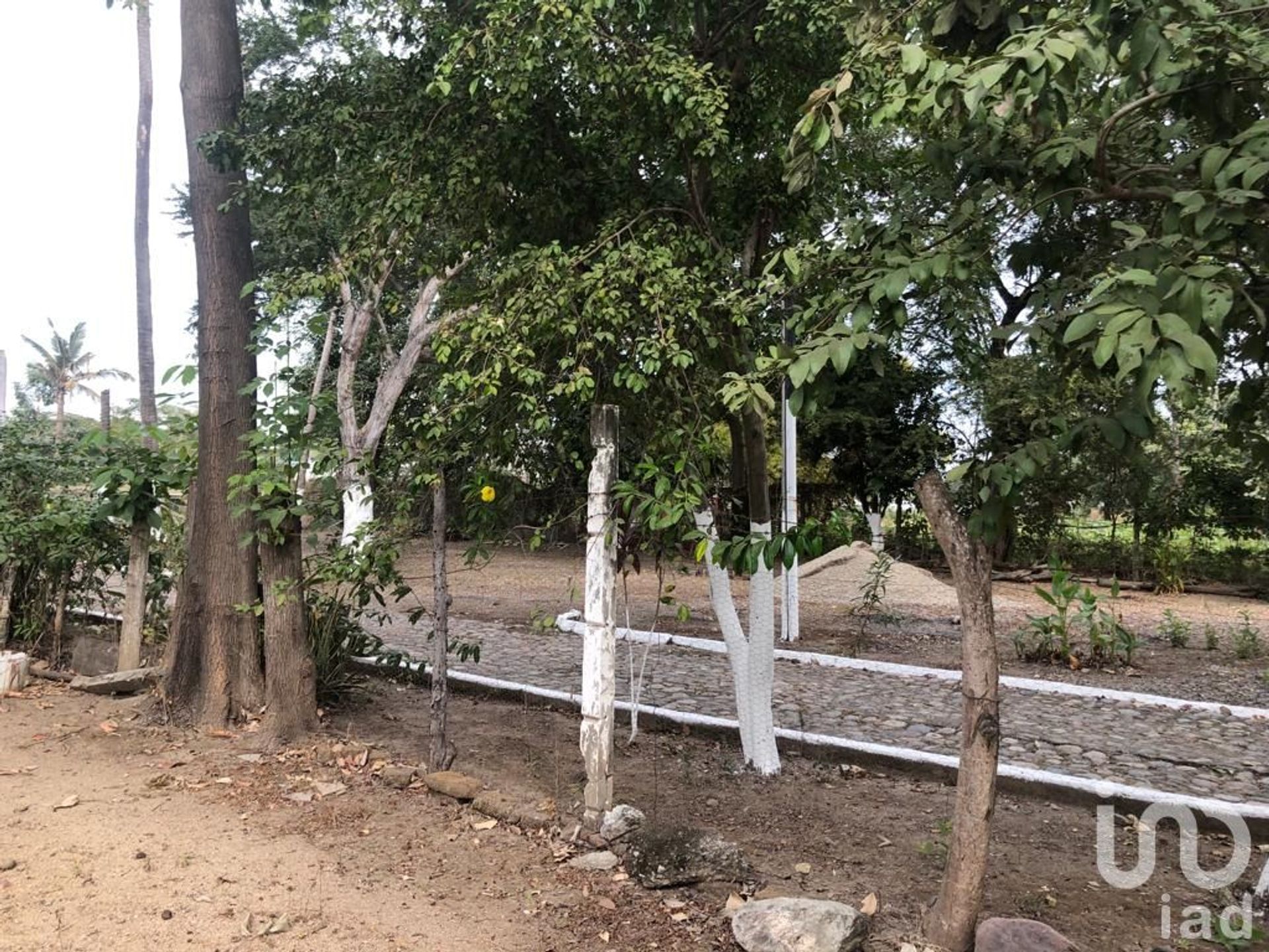 Tanah dalam Jarretadera, Jalisco 12680845