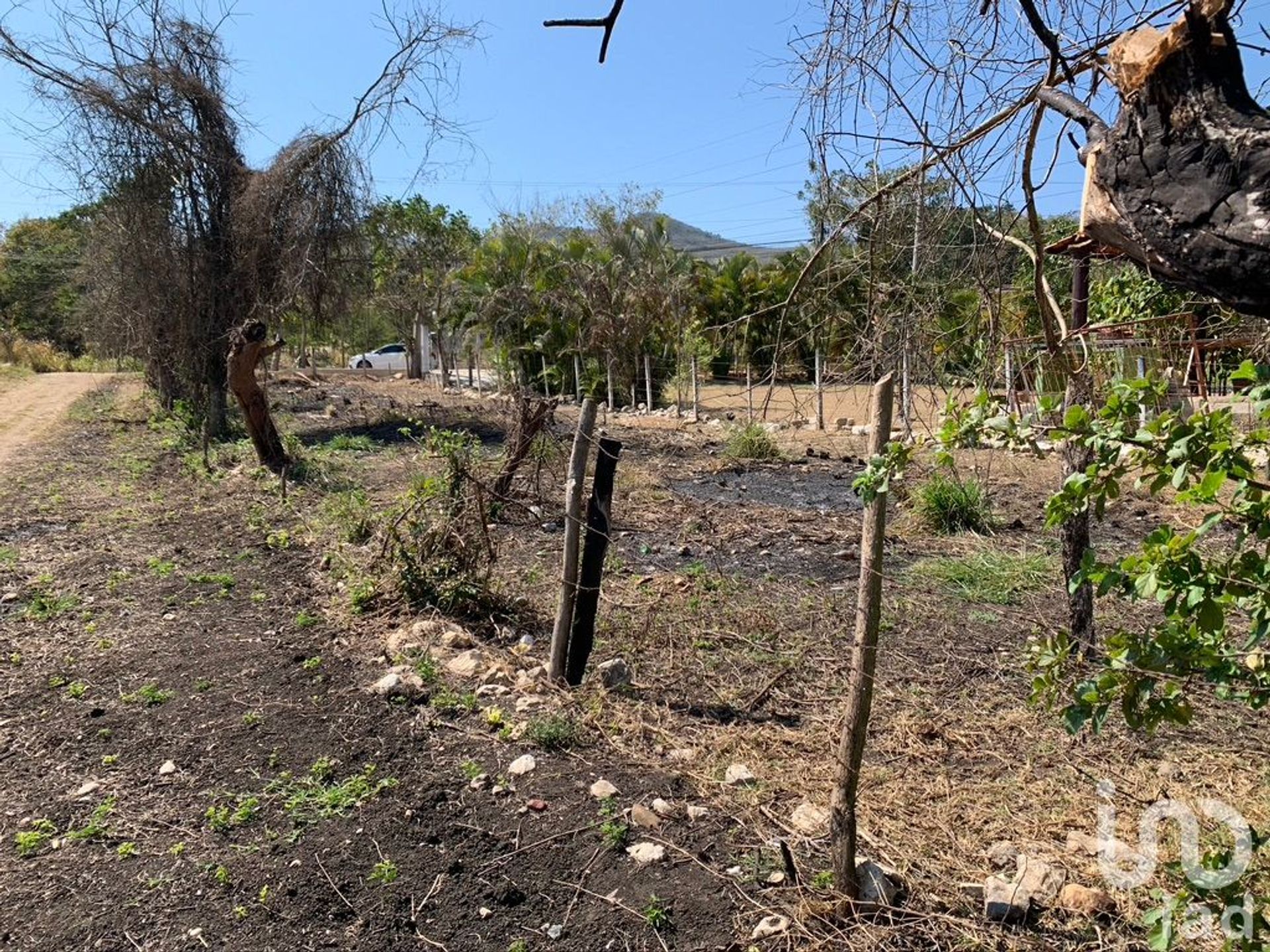 Land in San Fernando, chiapas 12680853