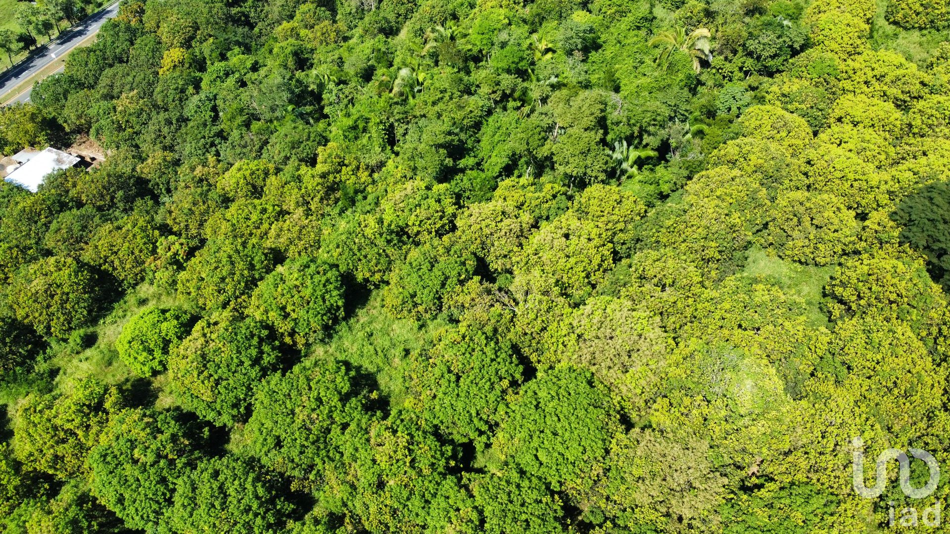 Terre dans La Cruz de Oro, Chiapas 12680917