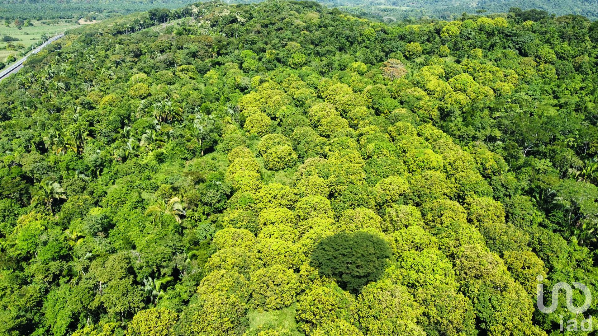 Terre dans La Cruz de Oro, Chiapas 12680917