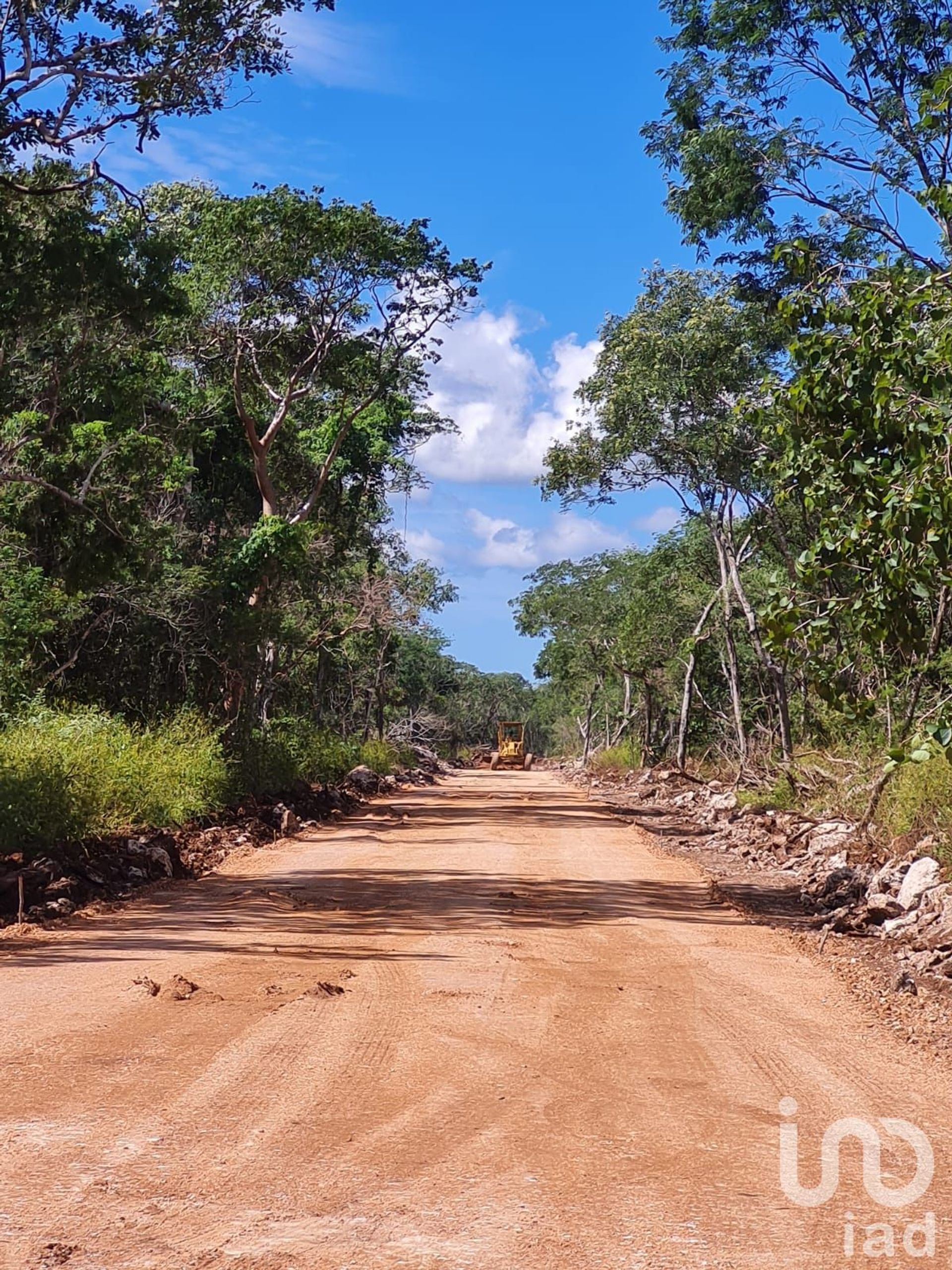 Land in Celestun, Yucatan 12680942