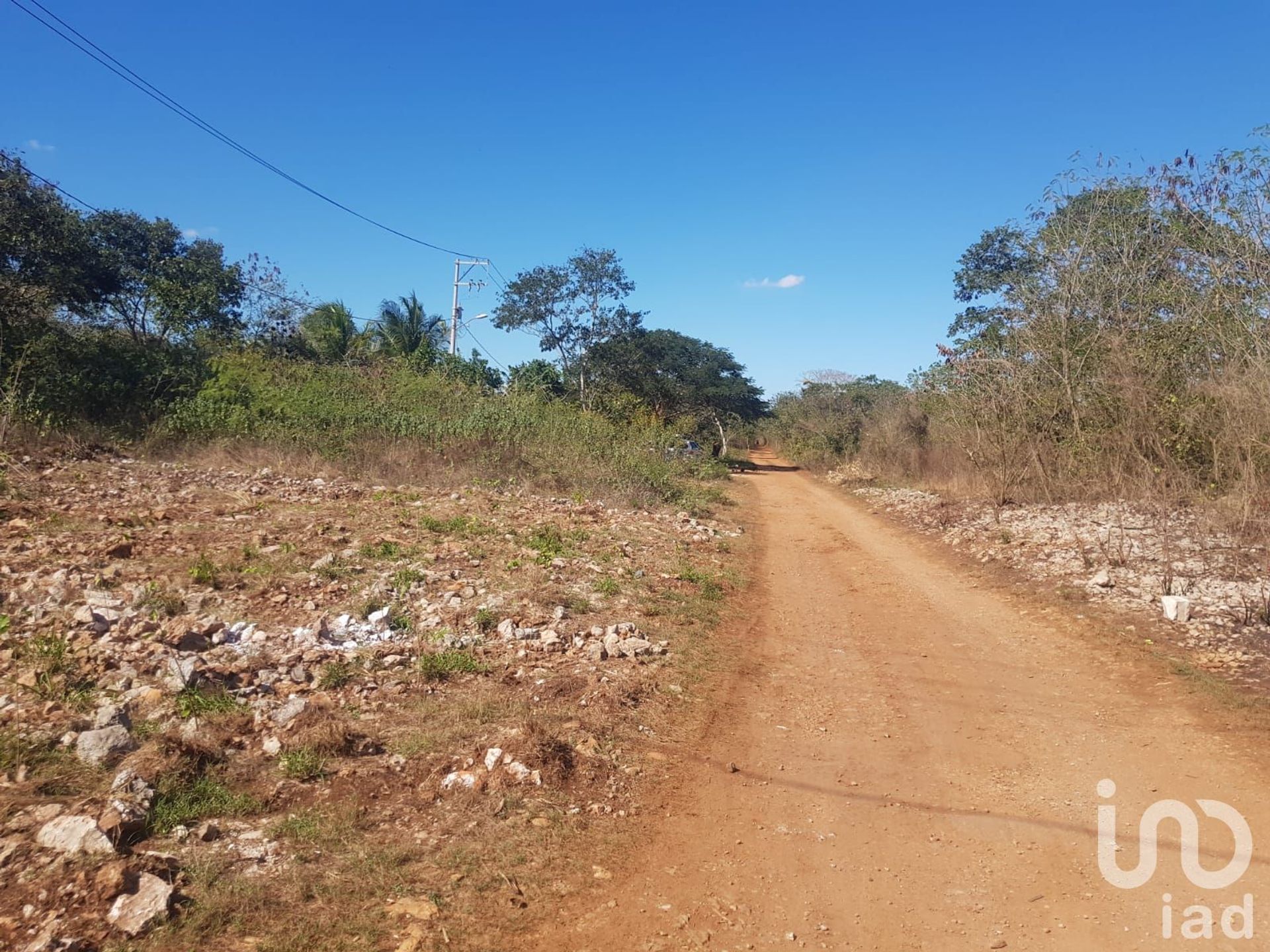 Terre dans San Jose Tzal, Yucatán 12680999