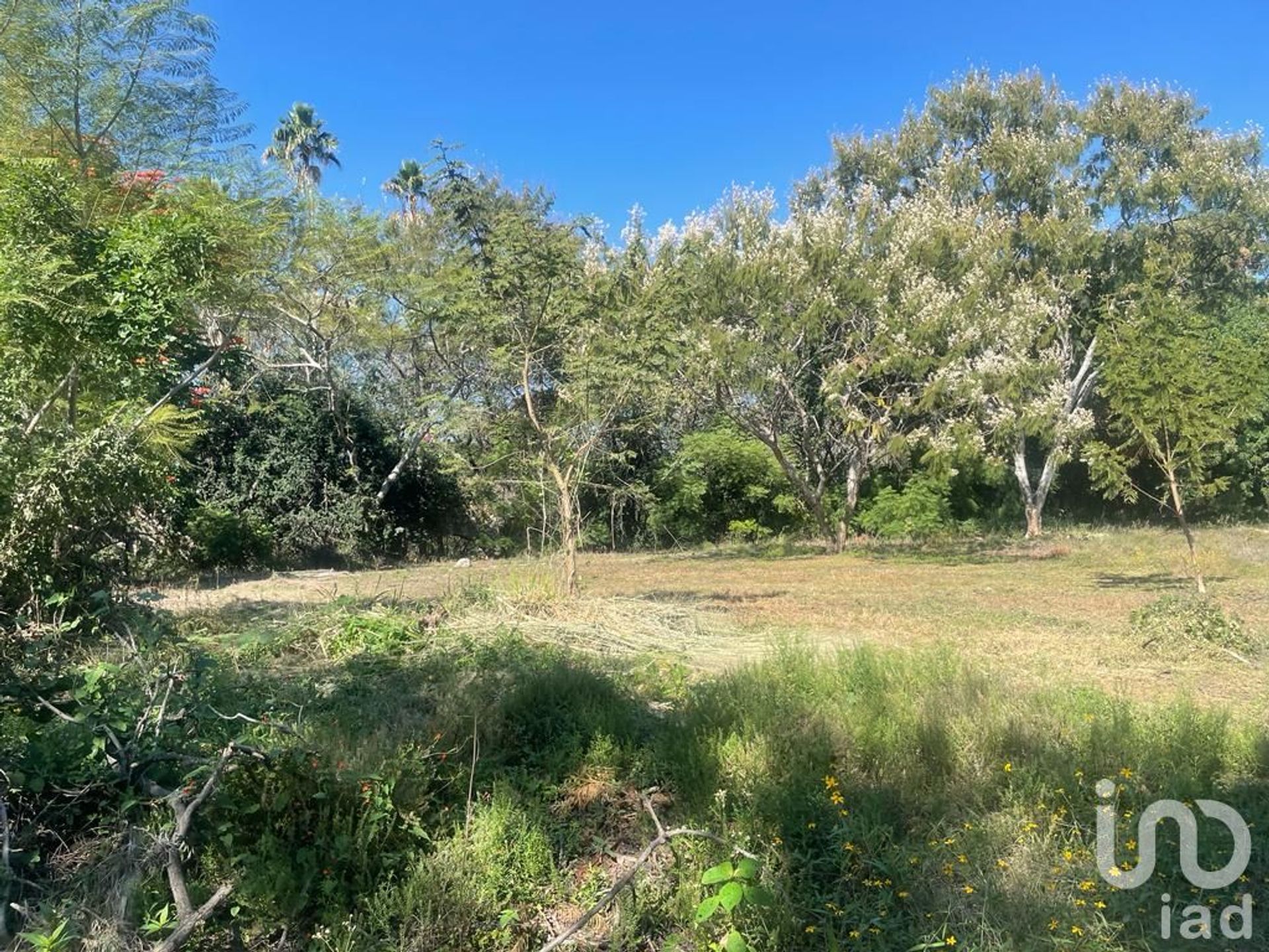 Land in Cuernavaca, Morelos 12681029