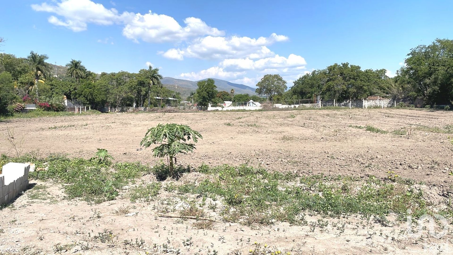 Land in Ticumán, Morelos 12681033