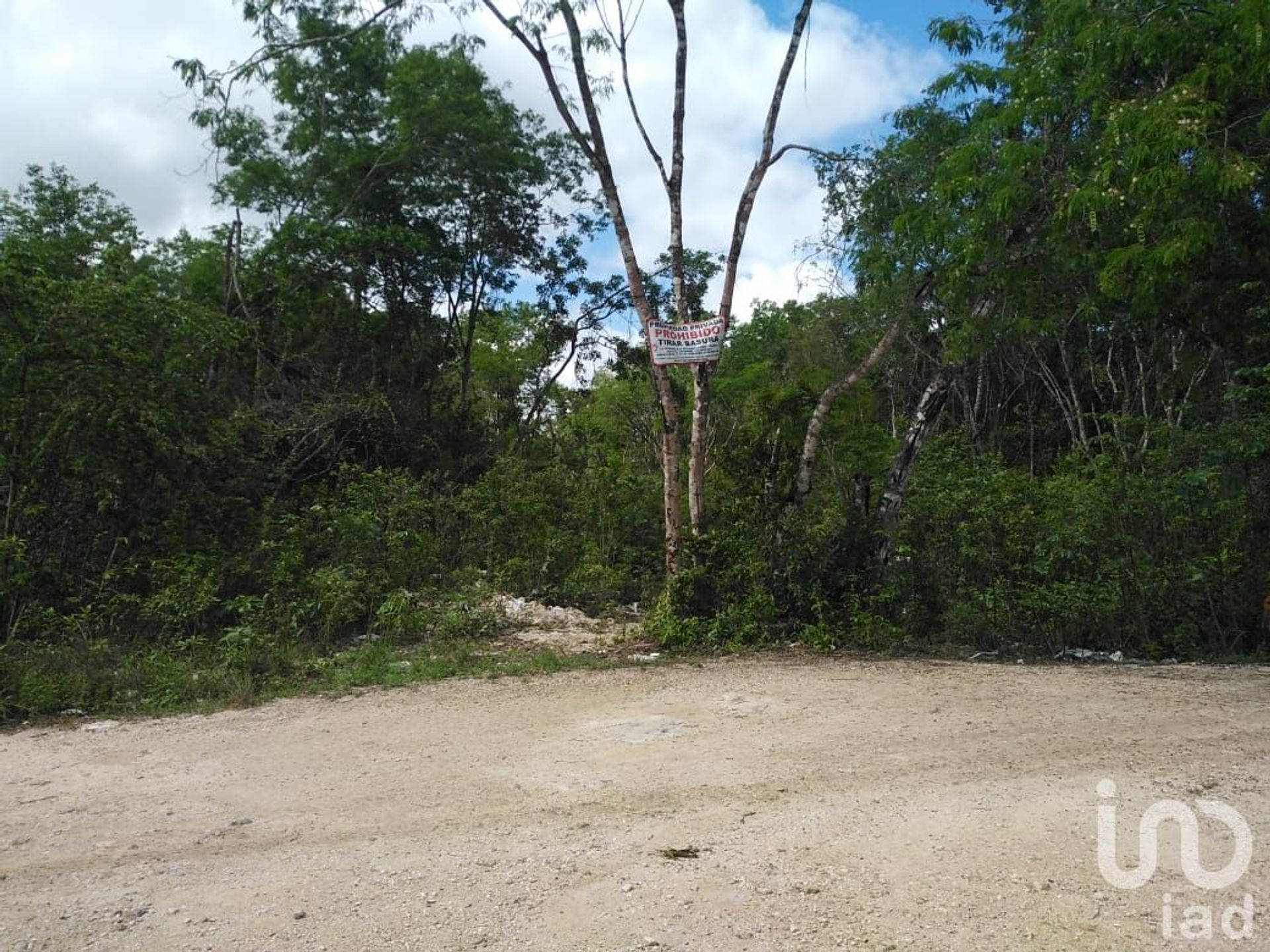 Terra no Cancún, Quintana Roo 12681315