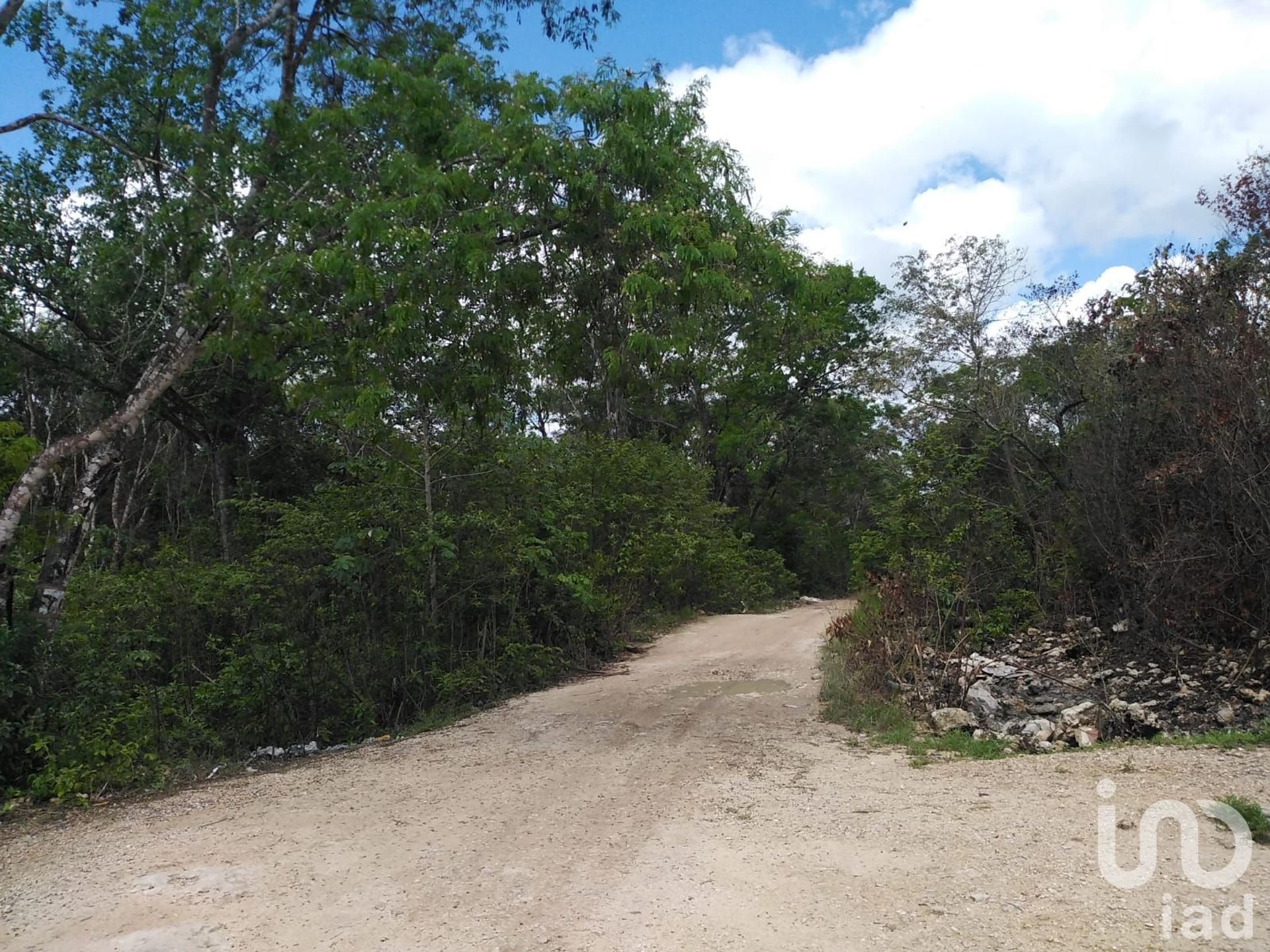 Terra no Cancún, Quintana Roo 12681315