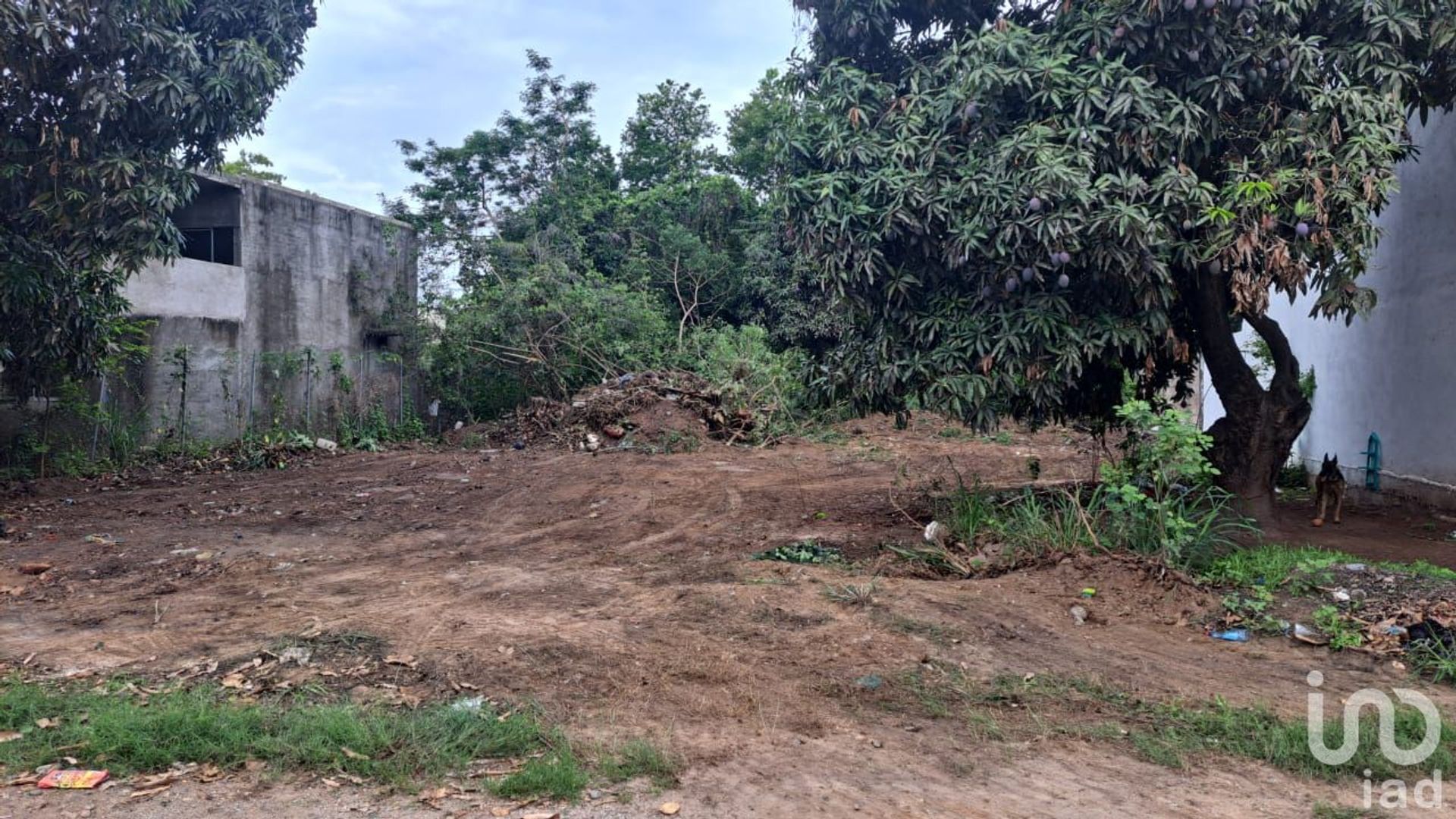 Land in San Jose del Valle, Jalisco 12681322