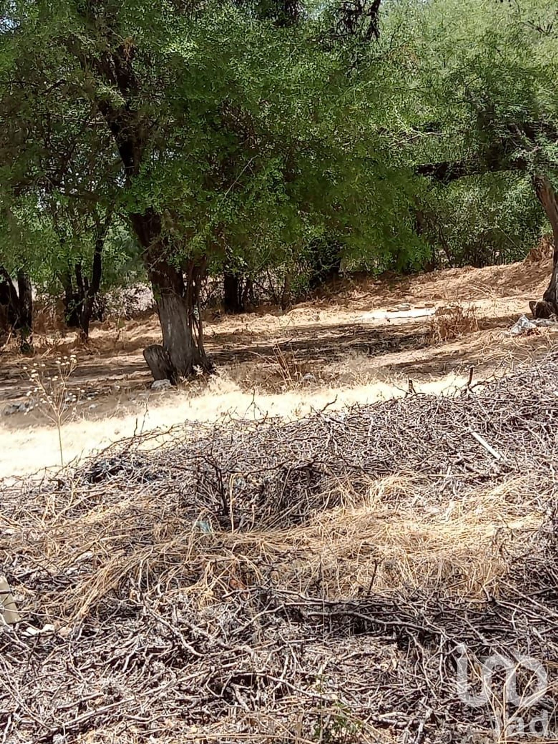 Tierra en Las Trojas, Guanajuato 12681350