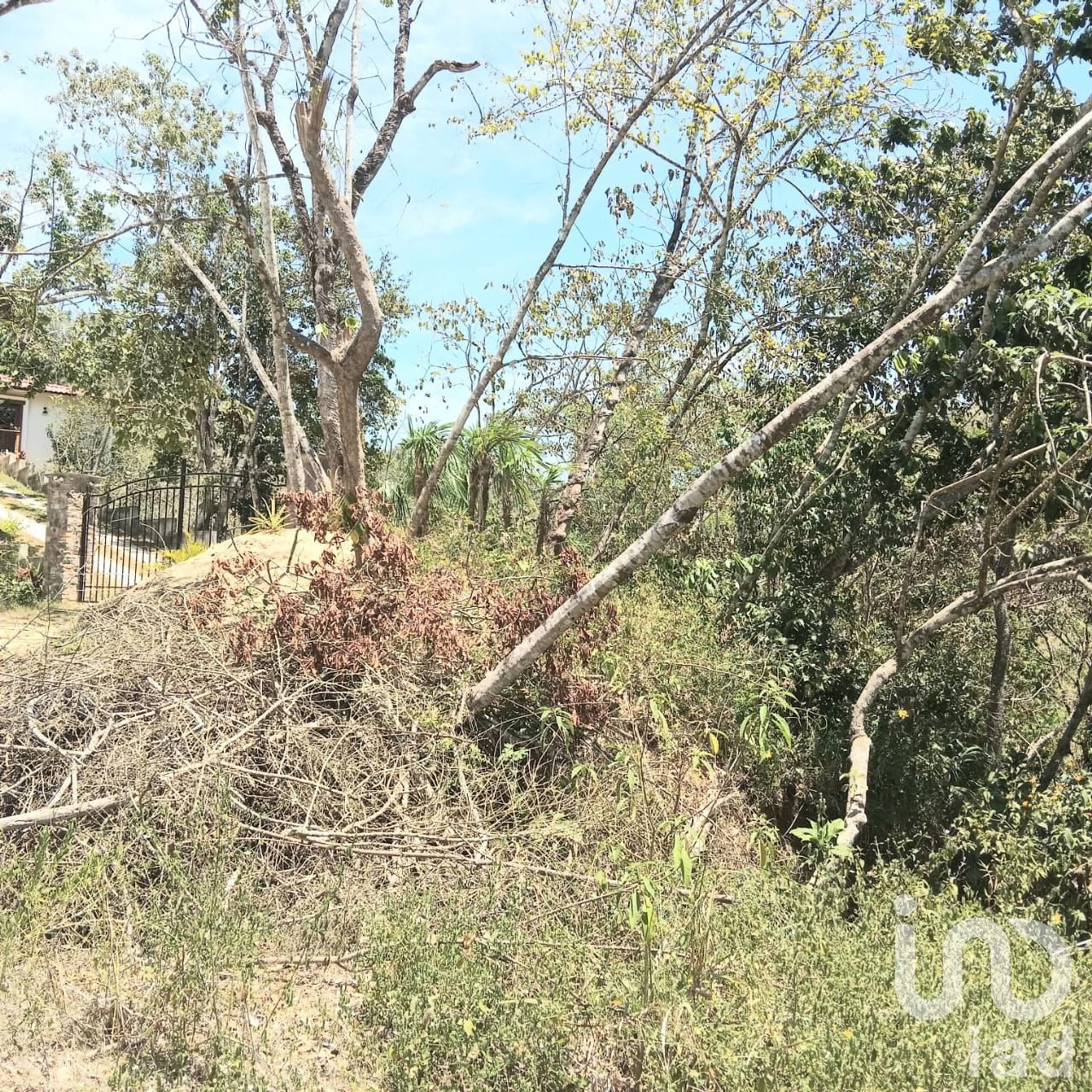 Terre dans Cruz del Calvario, Jalisco 12681415