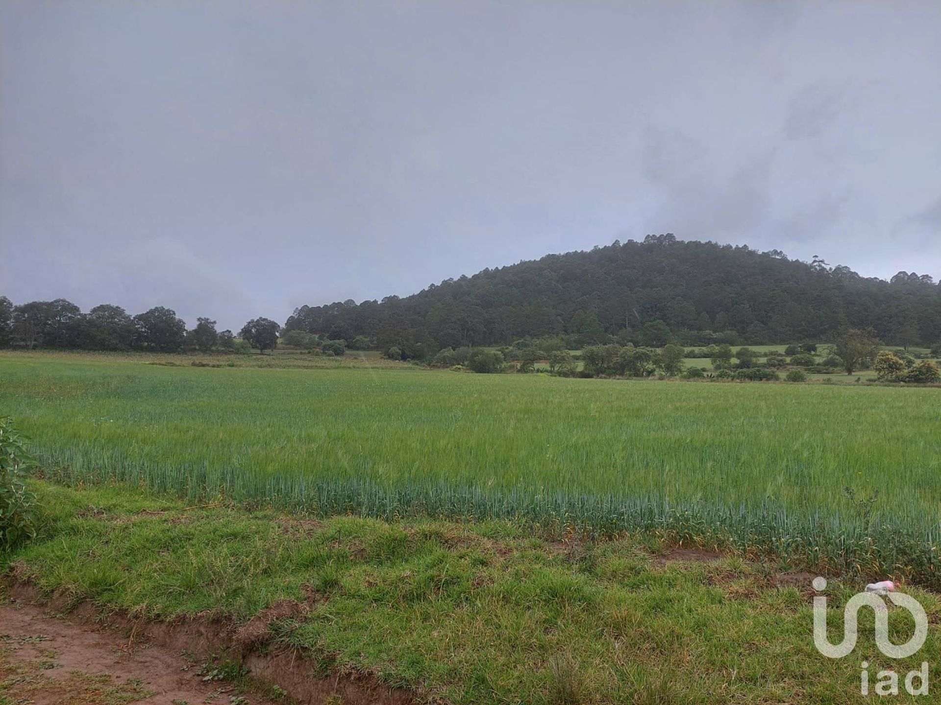 Terra no La Esperanza, Hidalgo 12681478