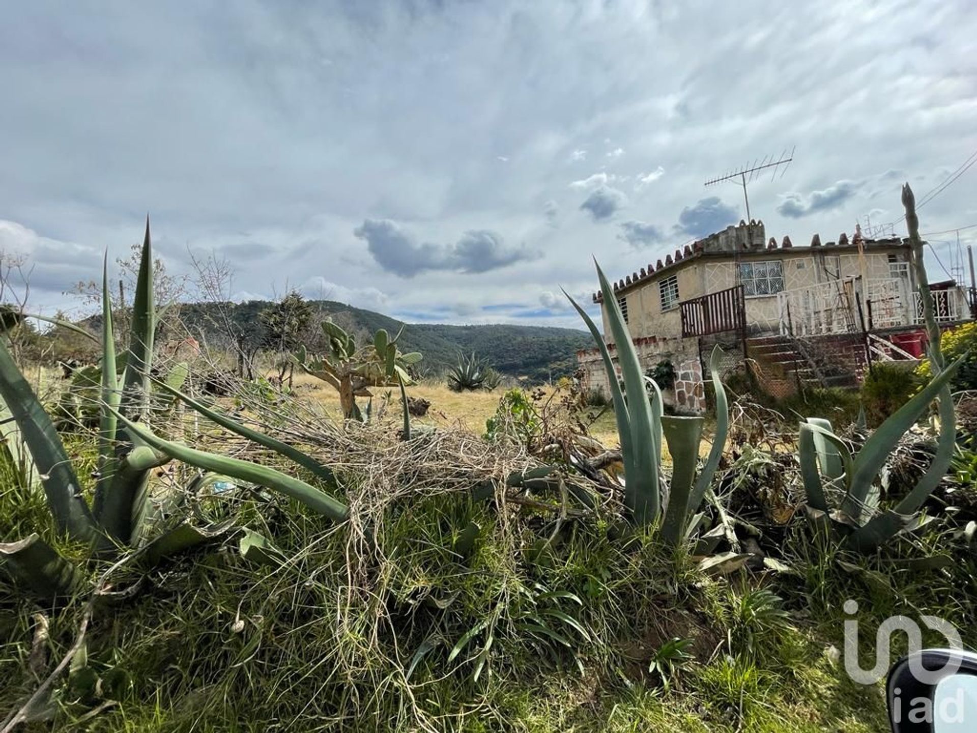 Jord i Trigueros, Mexico 12681827