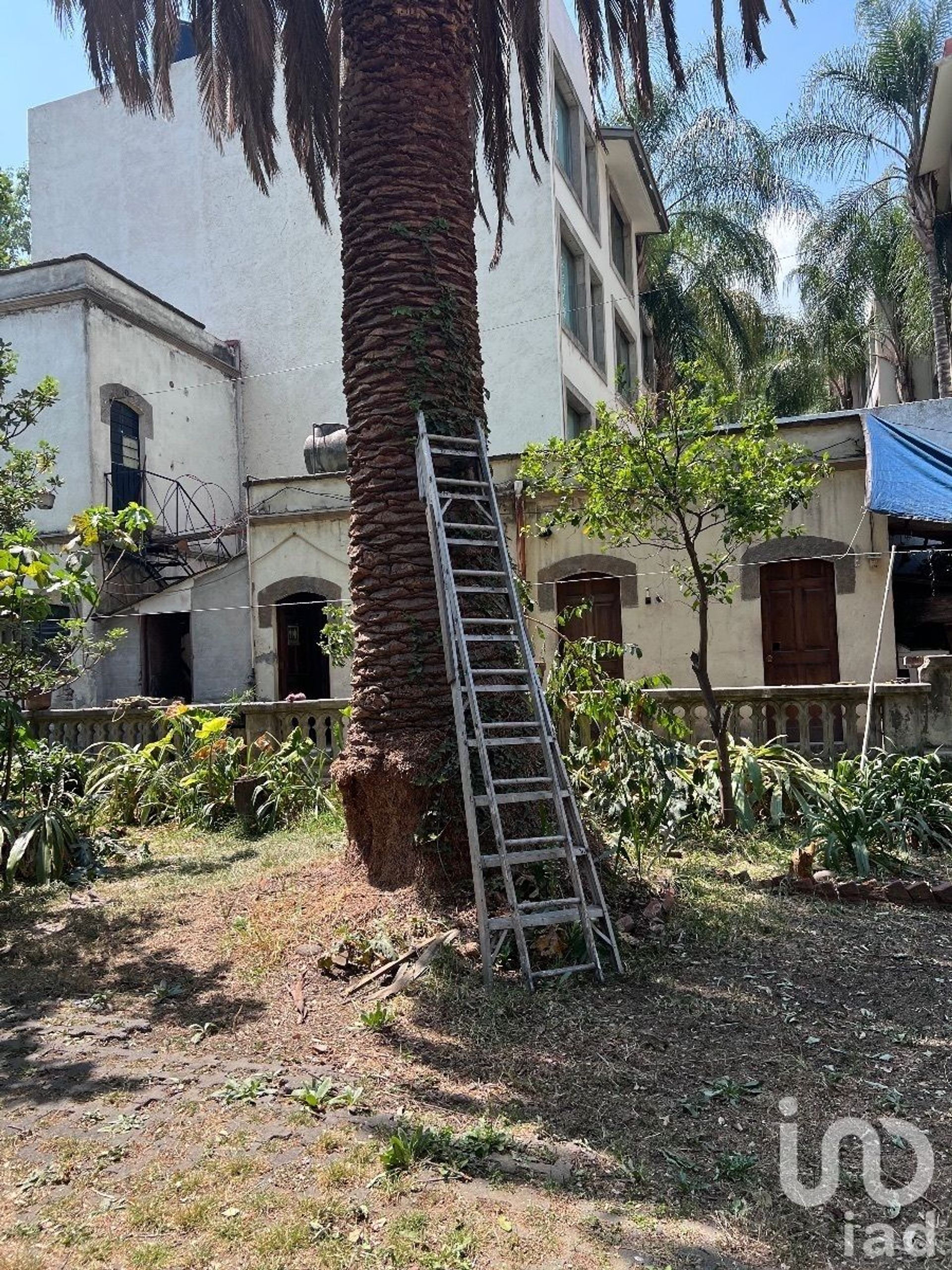 Tanah dalam Barrio Norte, Ciudad de Mexico 12681839