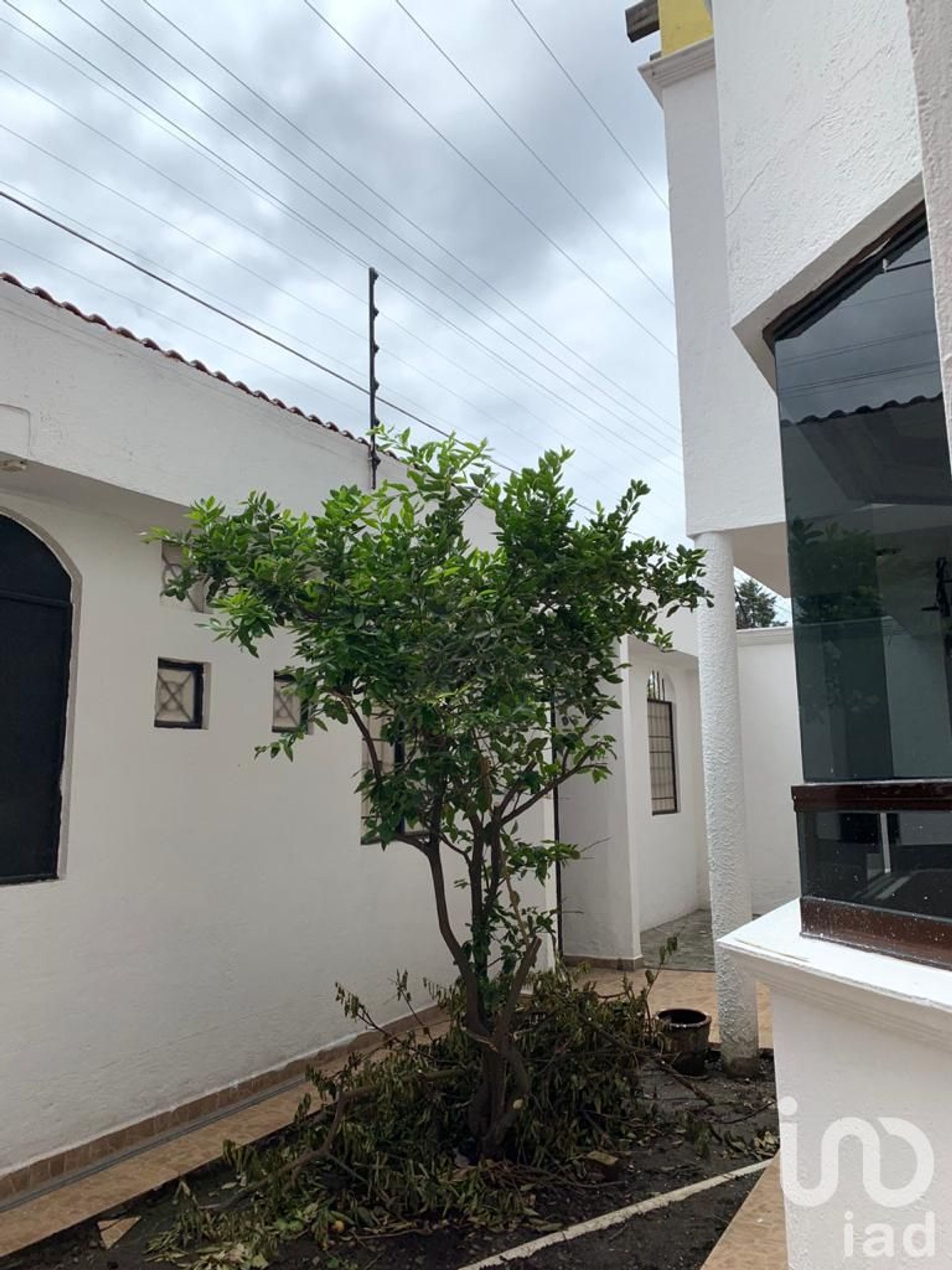 House in Colonia las Margaritas, Morelos 12681842