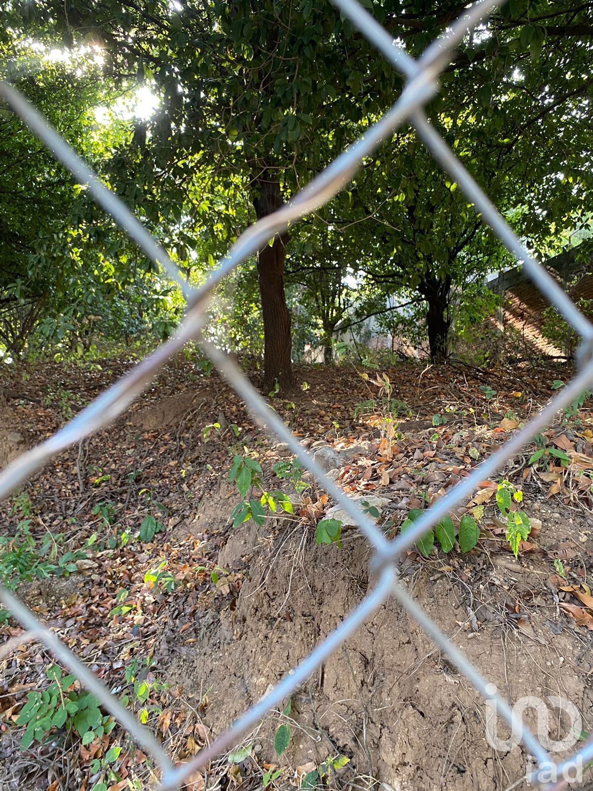 Land i Tuxtla Gutiérrez, Chiapas 12681872