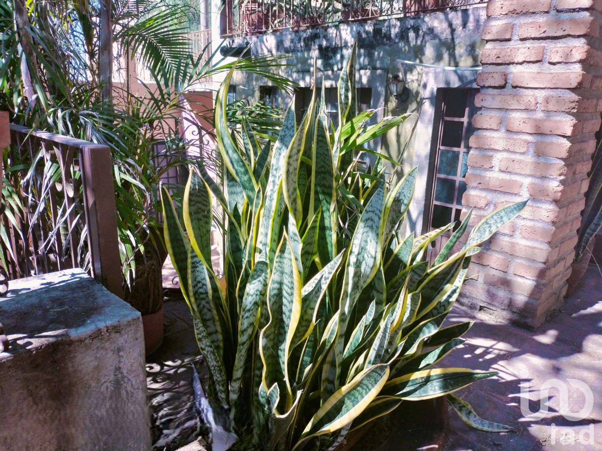 Rumah di Marfil, Guanajuato 12681982