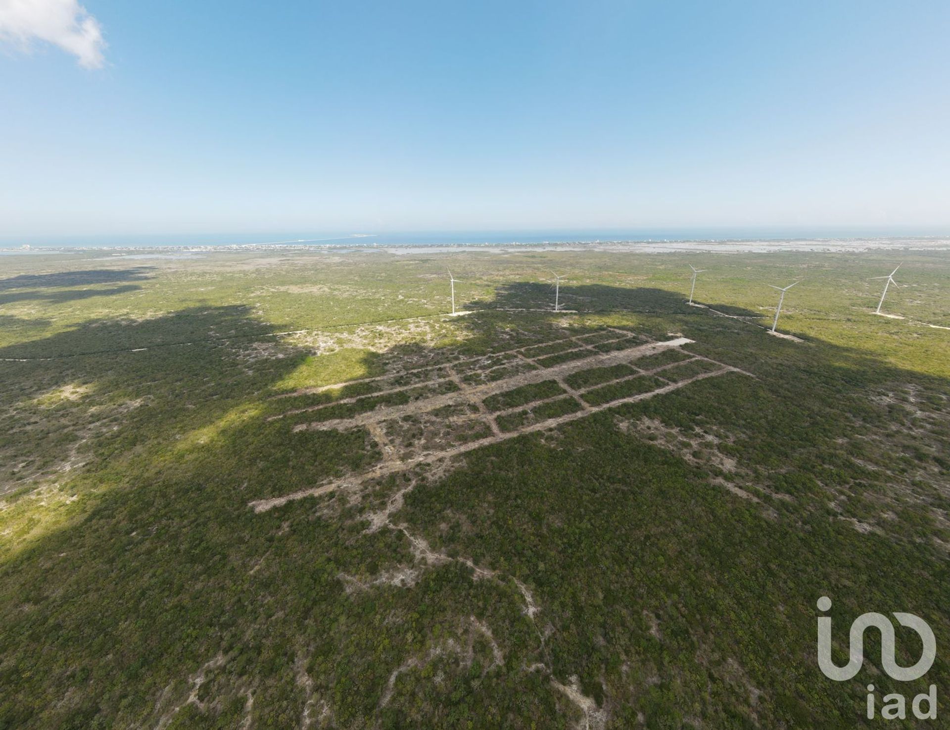 Terre dans Chicxulub Puerto, Yucatán 12682033