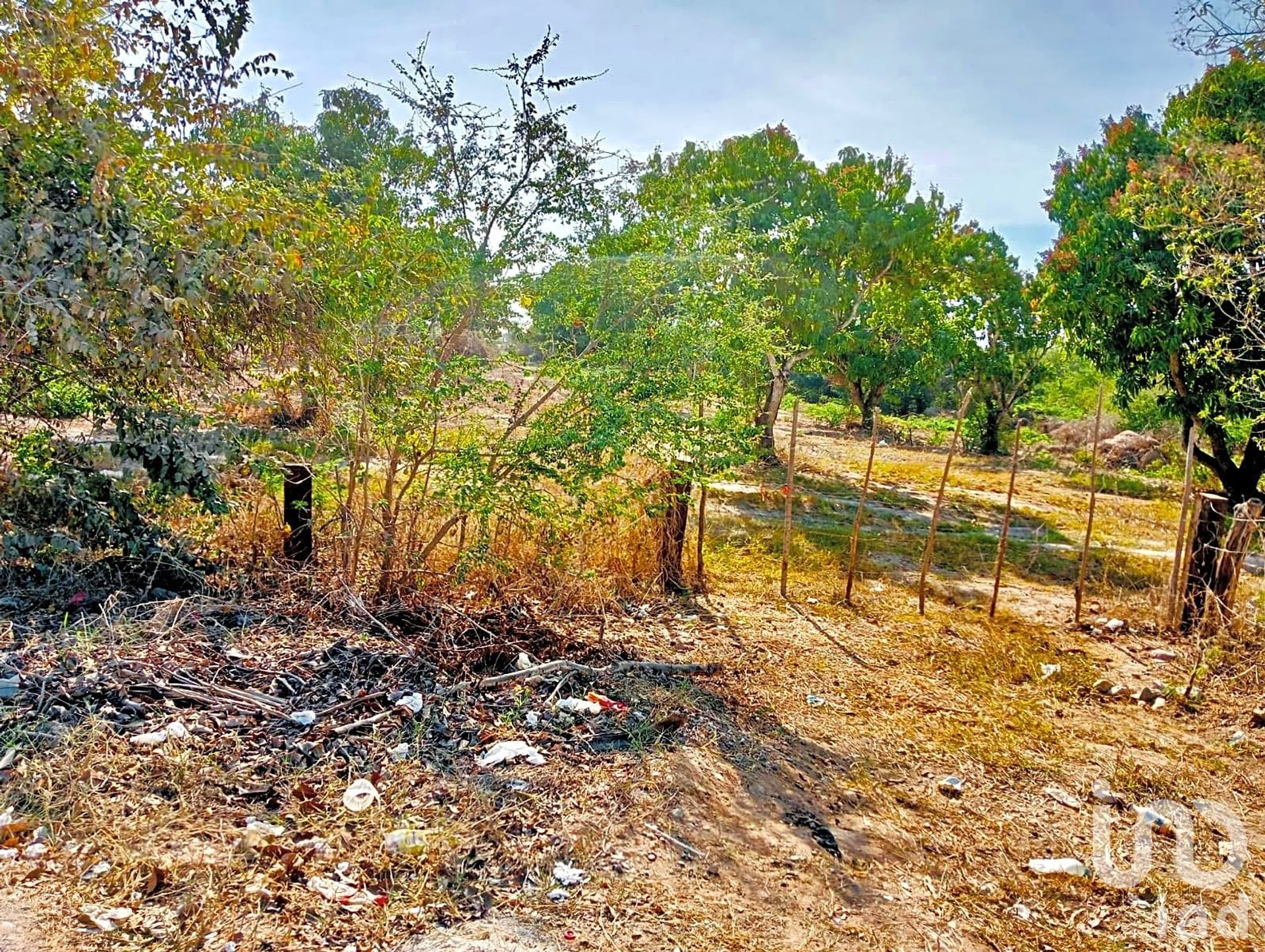 Maa sisään San Clemente de Lima, Nayarit 12682250