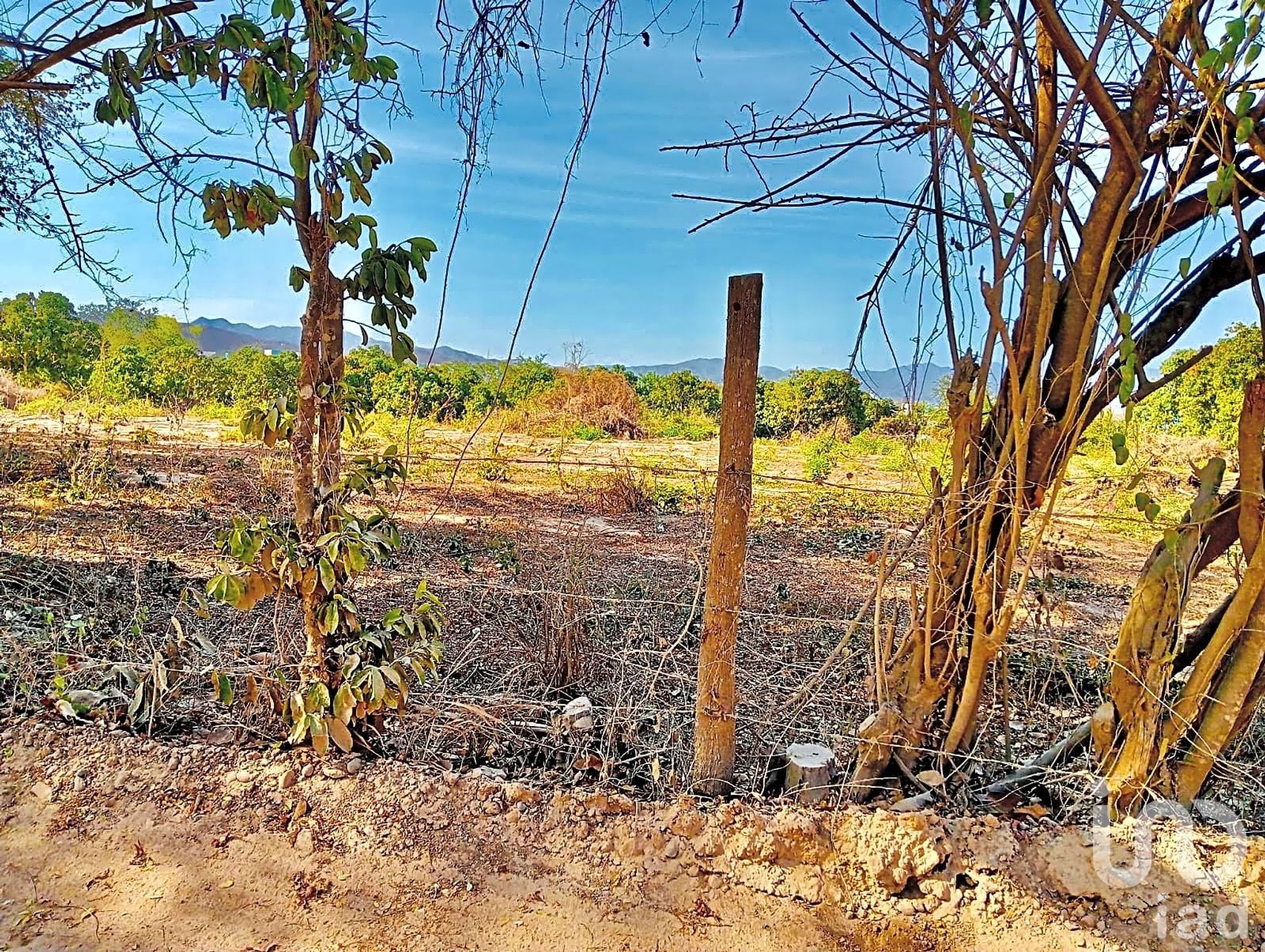 Земля в La Papaya Roja, Nayarit 12682250