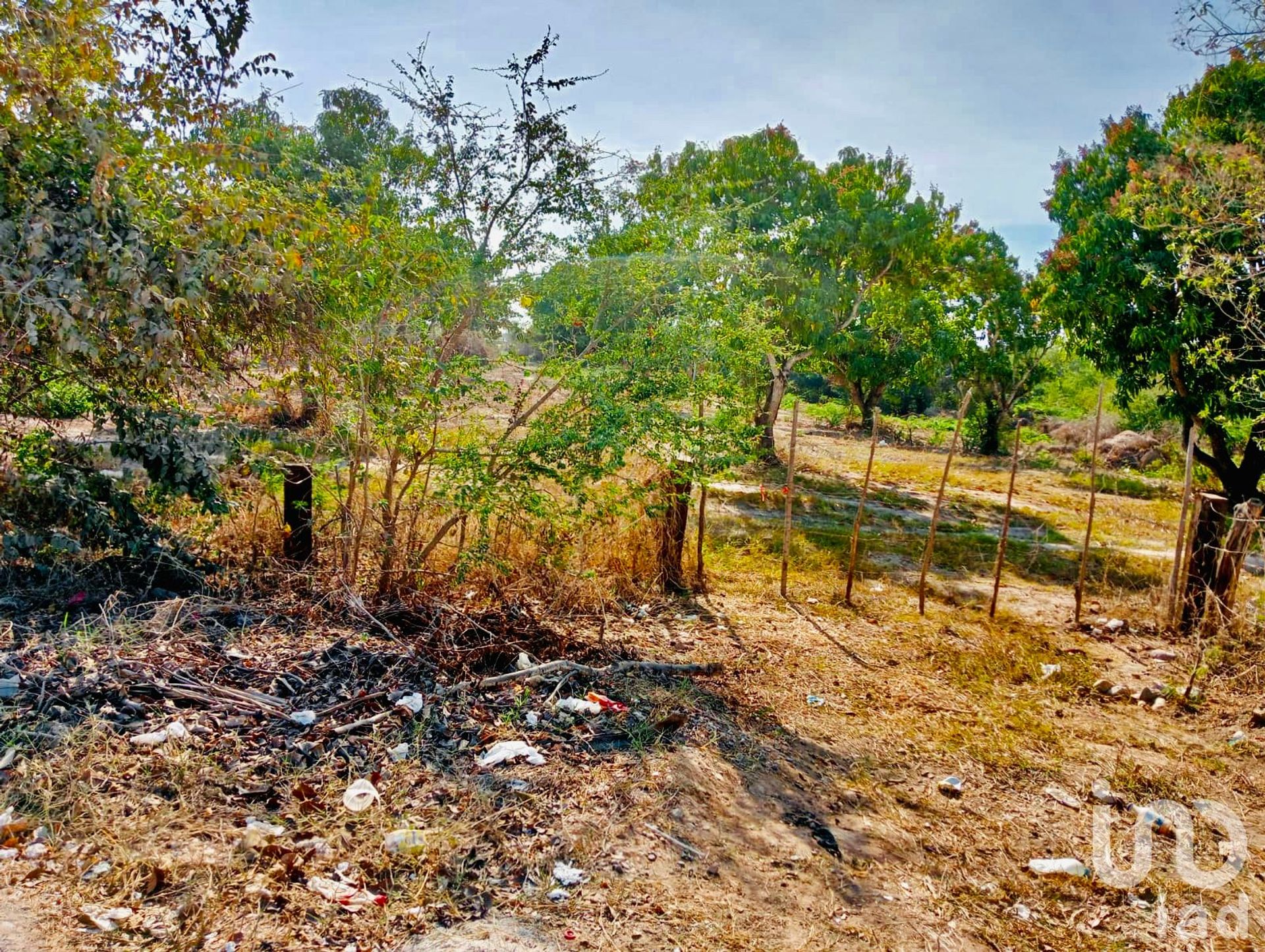 Maa sisään San Clemente de Lima, Nayarit 12682250