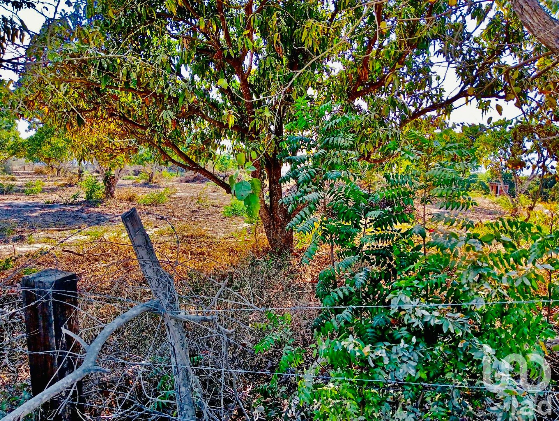 Terra no San Clemente de Lima, Nayarit 12682250