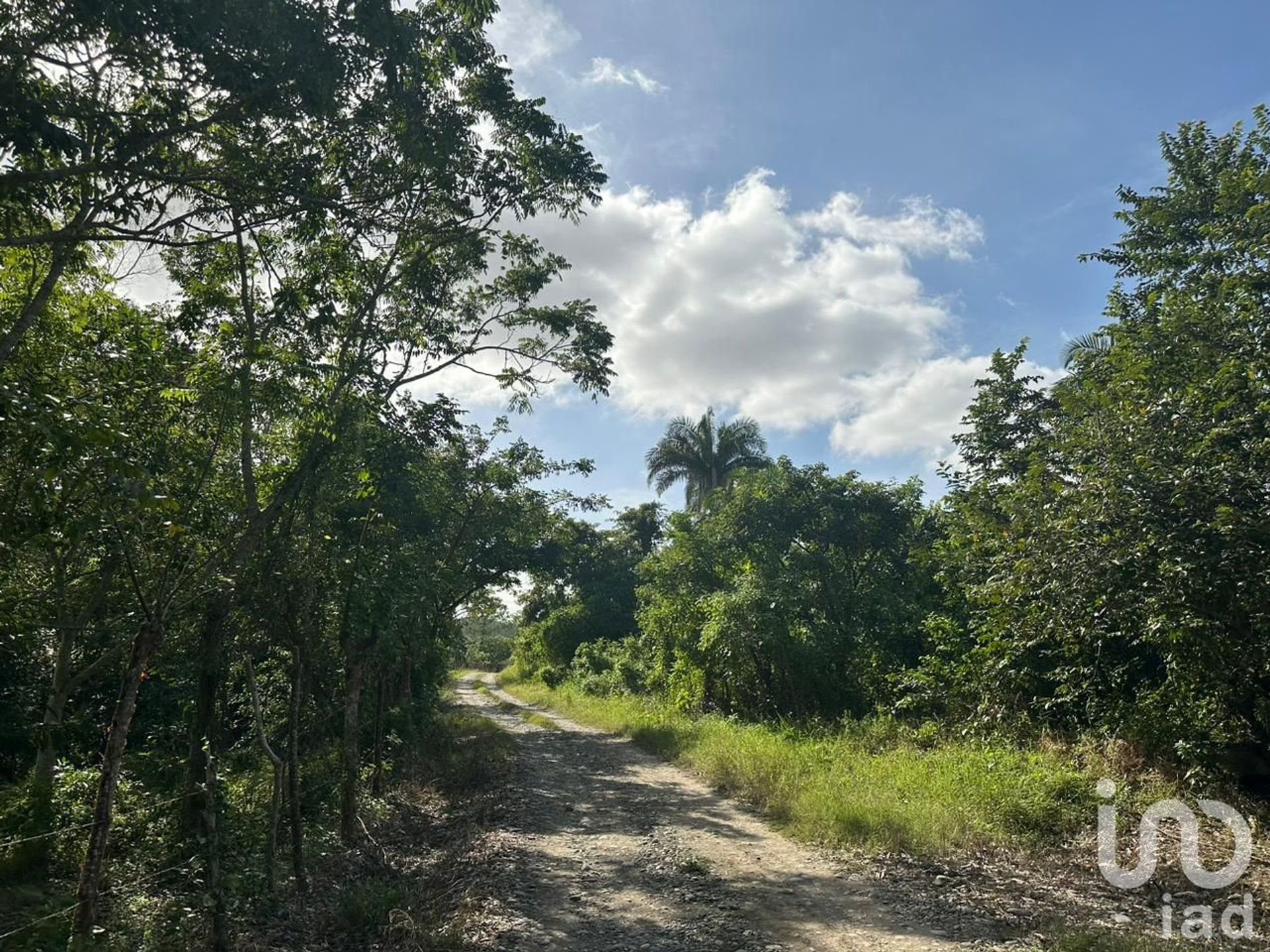 Tierra en Santiago de la Pena, Veracruz 12682337