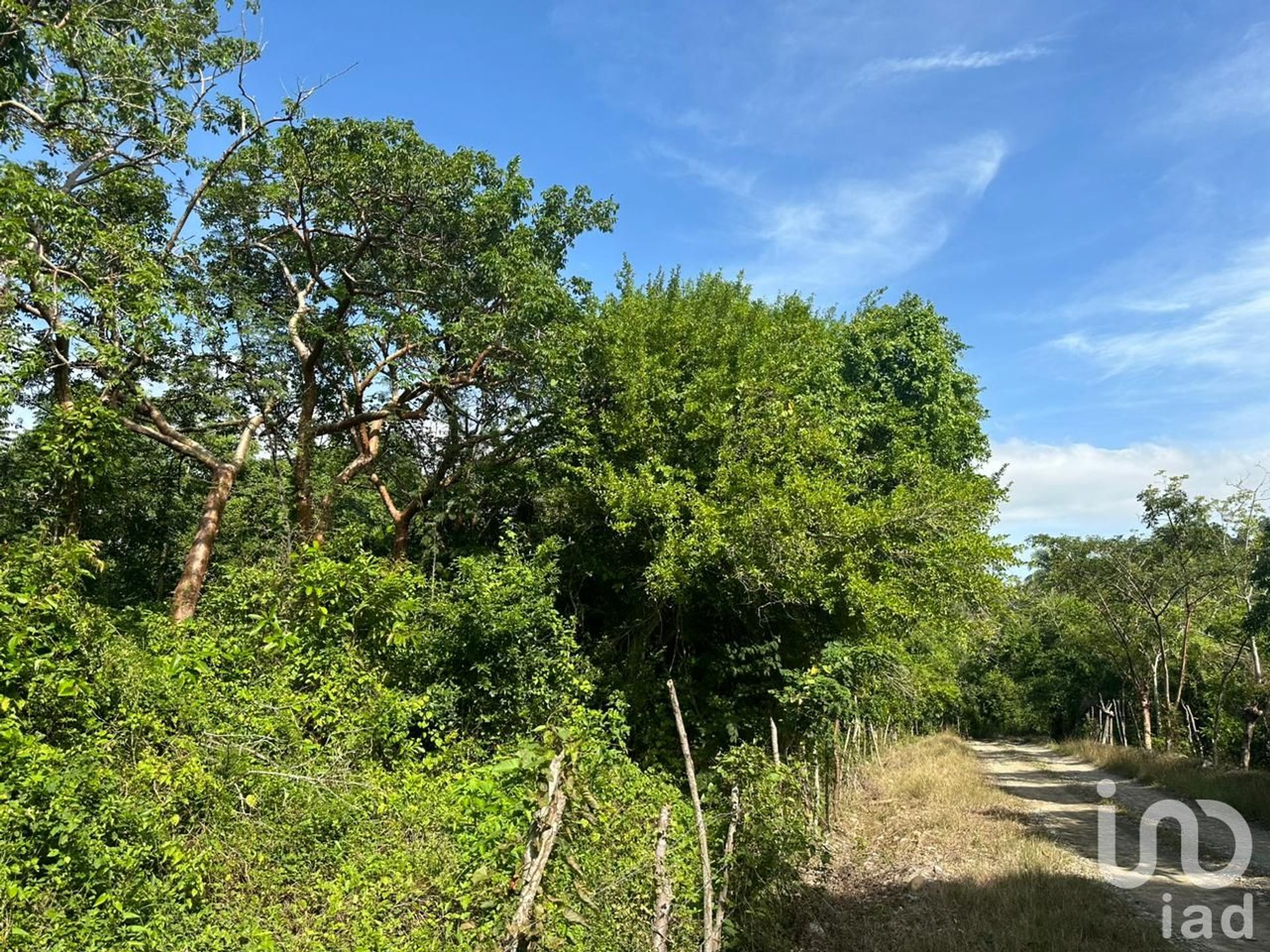 Land i Santiago de la Peña, Veracruz 12682337