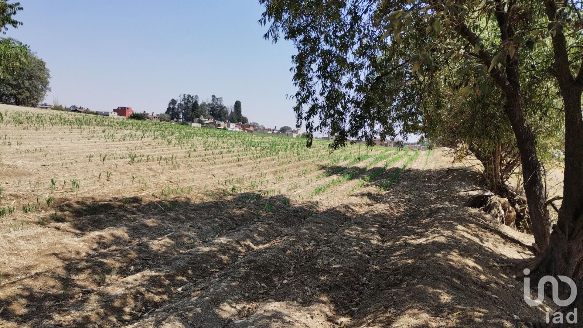 Land in San Lorenzo Cuauhtenco, Estado de México 12682581