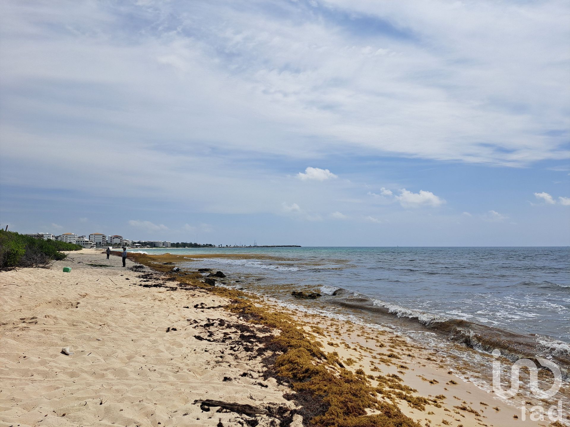 Tanah dalam El Crucero, Quintana Roo 12682856