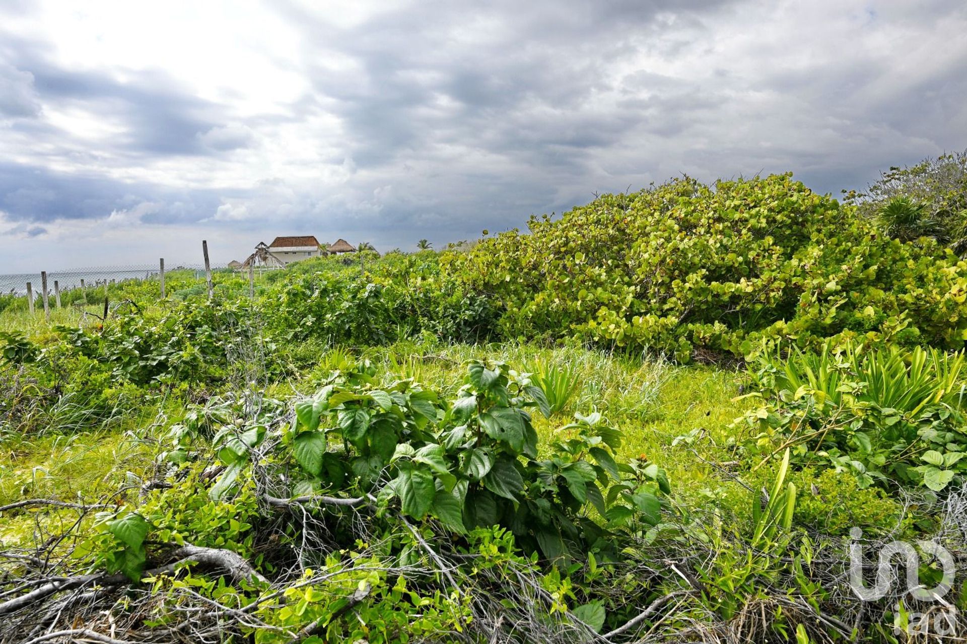 Land in , Quintana Roo 12682856