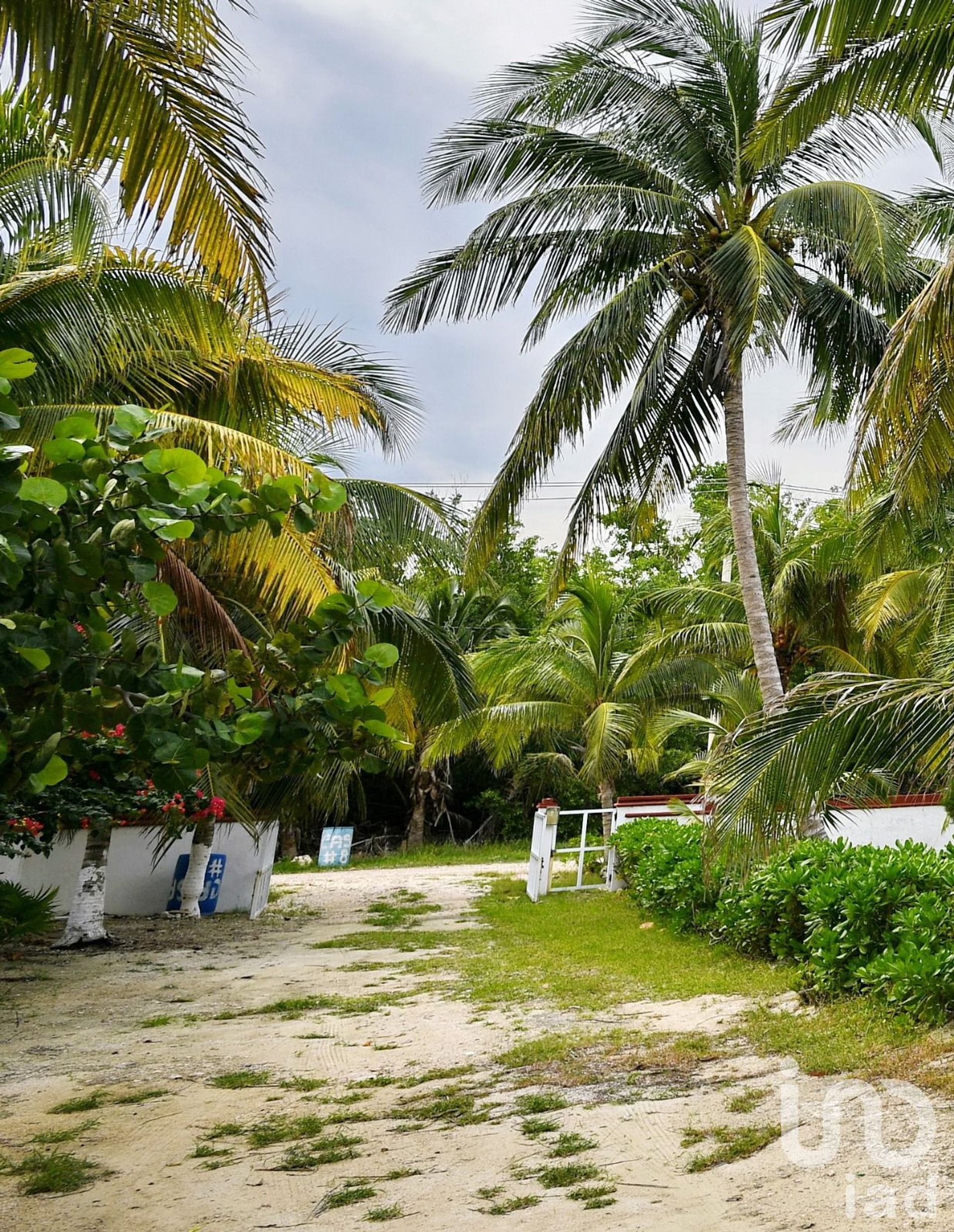 Maa sisään Puerto Morelos, Quintana Roo 12682875