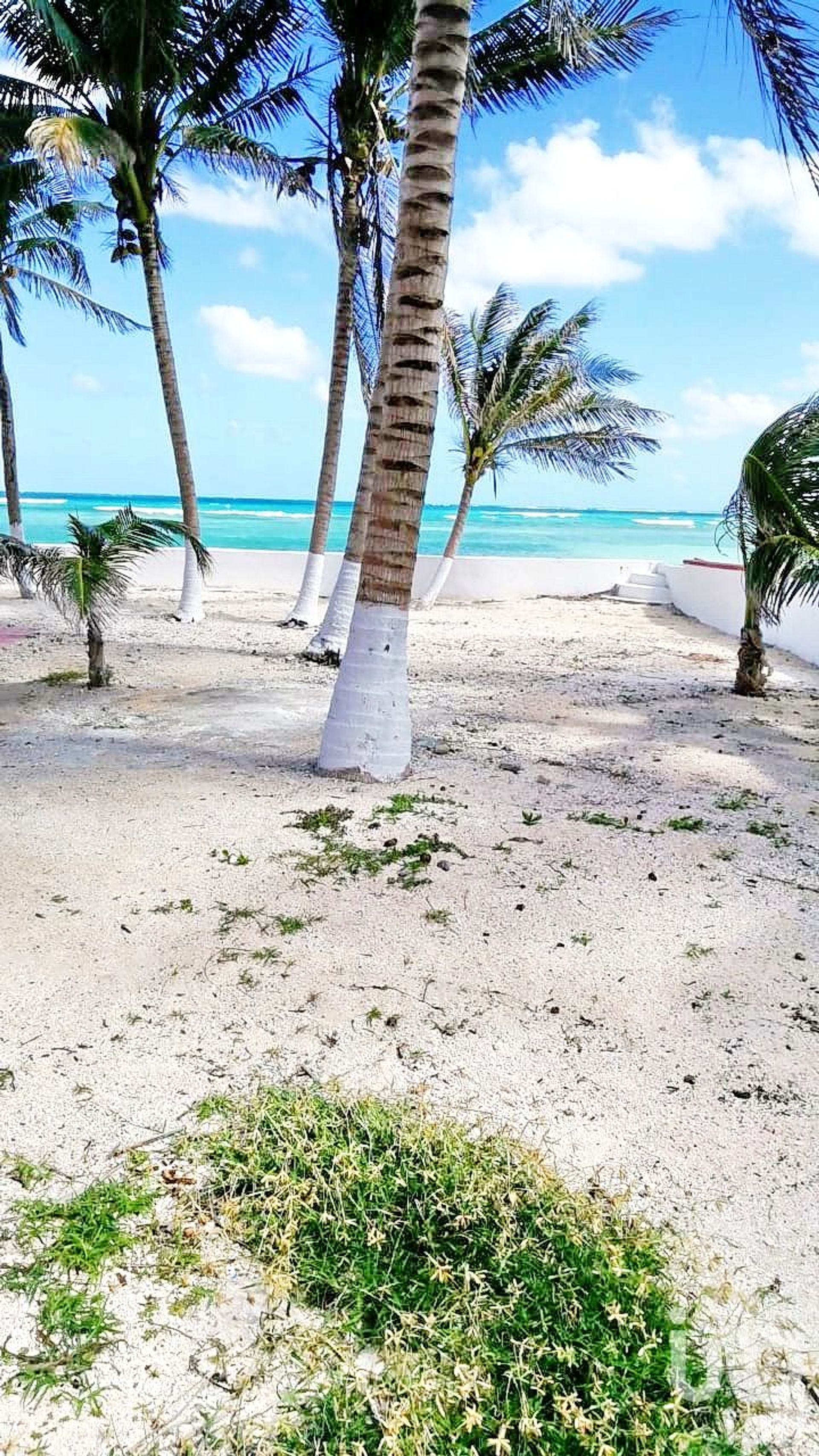 Land in Puerto Morelos, Quintana Roo 12682875