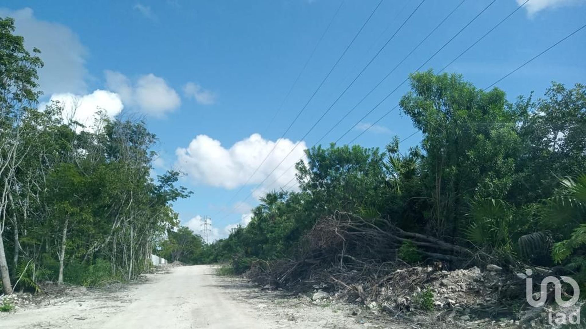 भूमि में Cancun, Quintana Roo 12682882