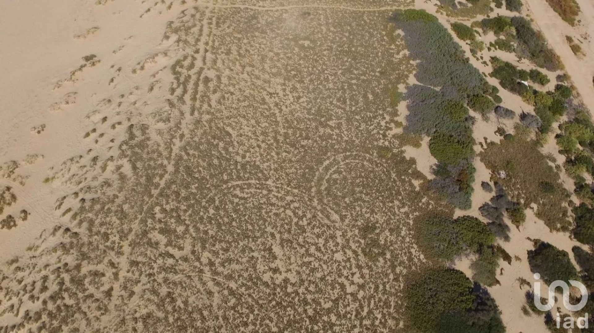 Земля в Todos Santos, Baja California Sur 12682896