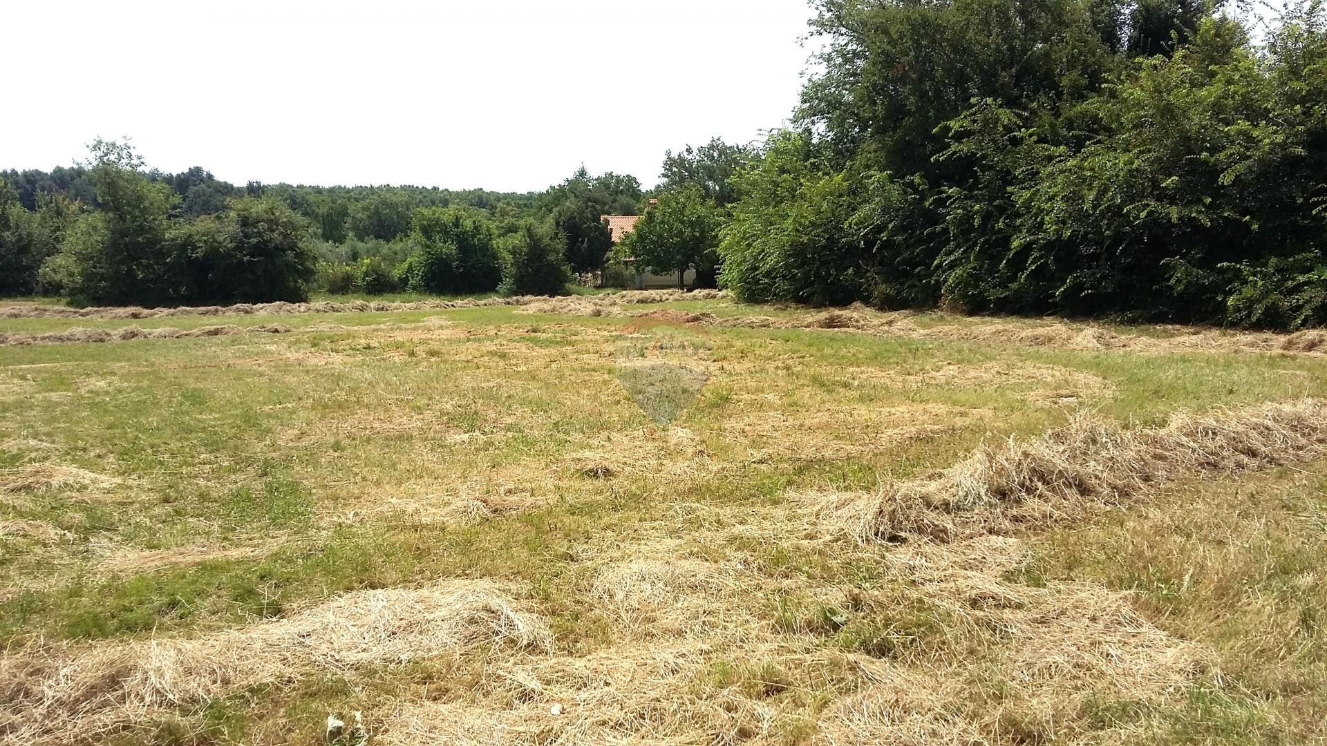 Land in Umag, Istarska Zupanija 12684301