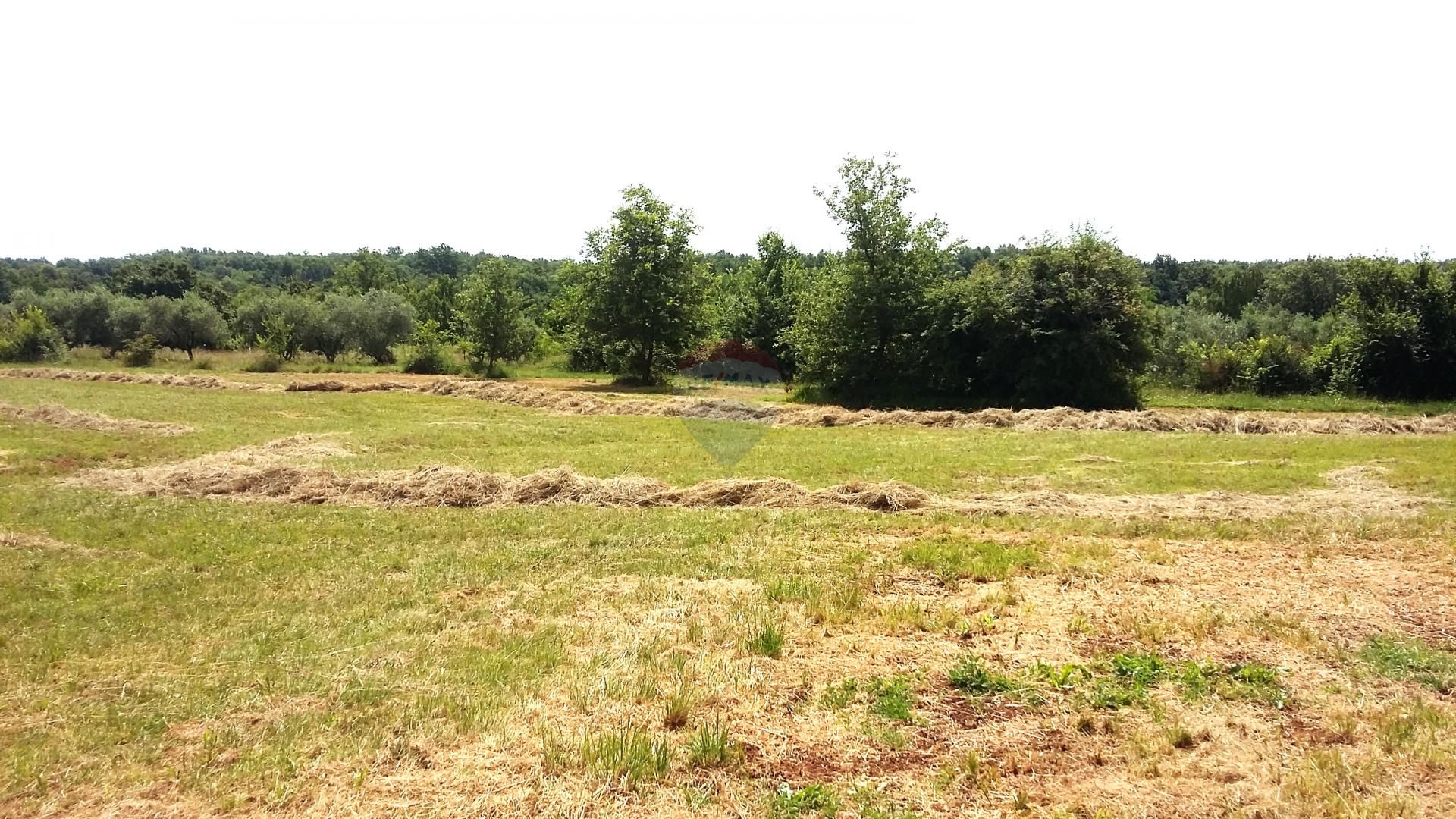 Land in Umag, Istarska Zupanija 12684301