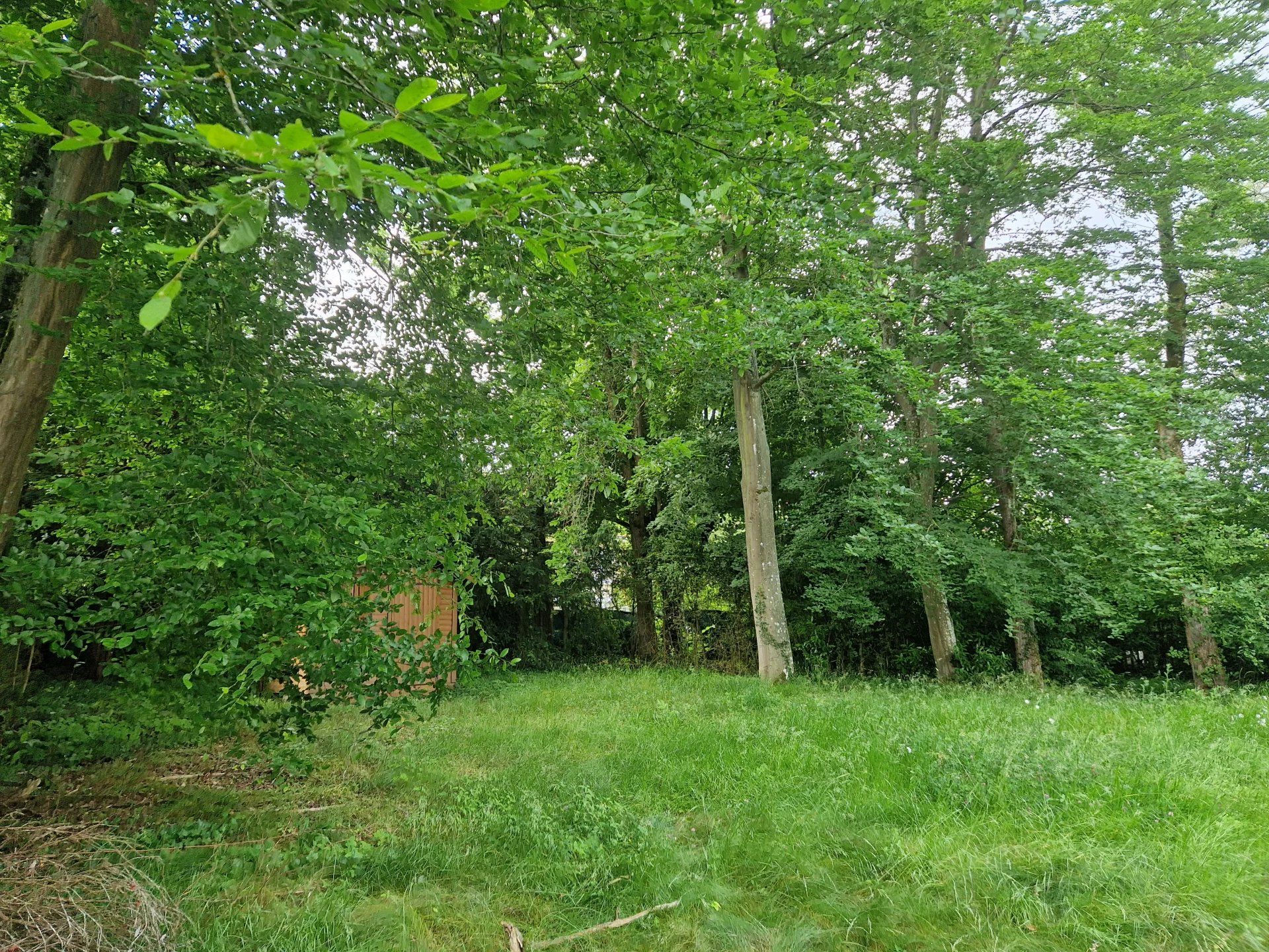 Comercial en Saint-Rémy-lès-Chevreuse, Yvelines 12684429