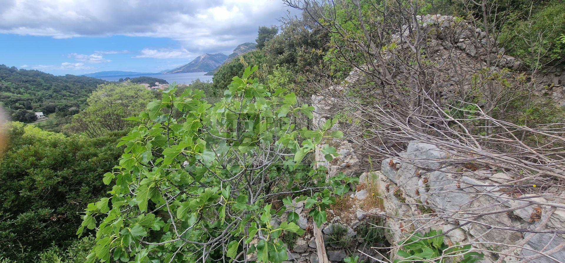 casa no Janjina, Dubrovacko-Neretvanska Zupanija 12685417