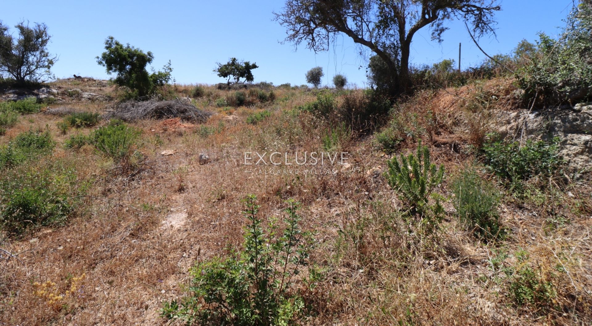 Land in Carvoeiro, Faro District 12685477