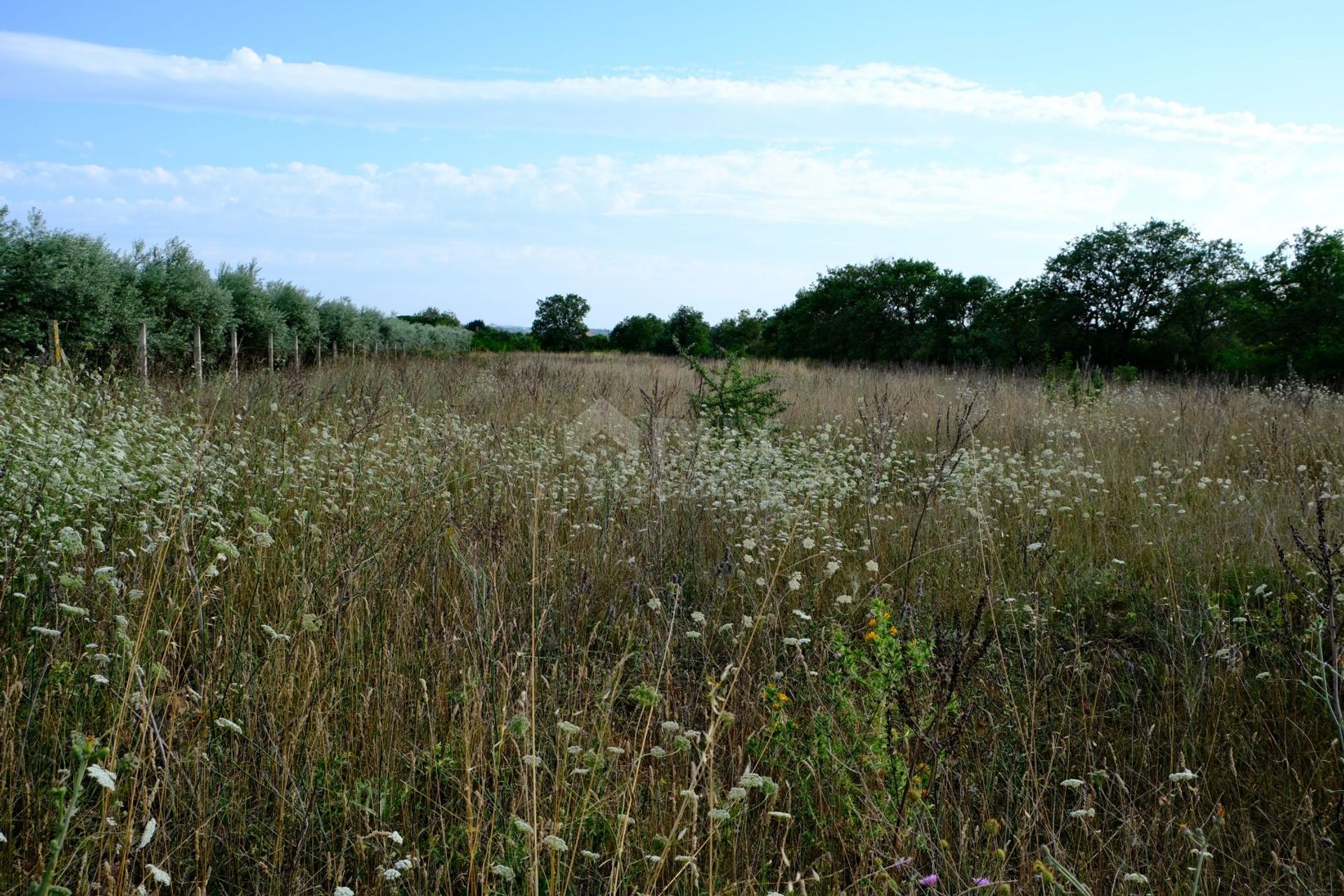 Земля в Crno, Zadarska Zupanija 12686079