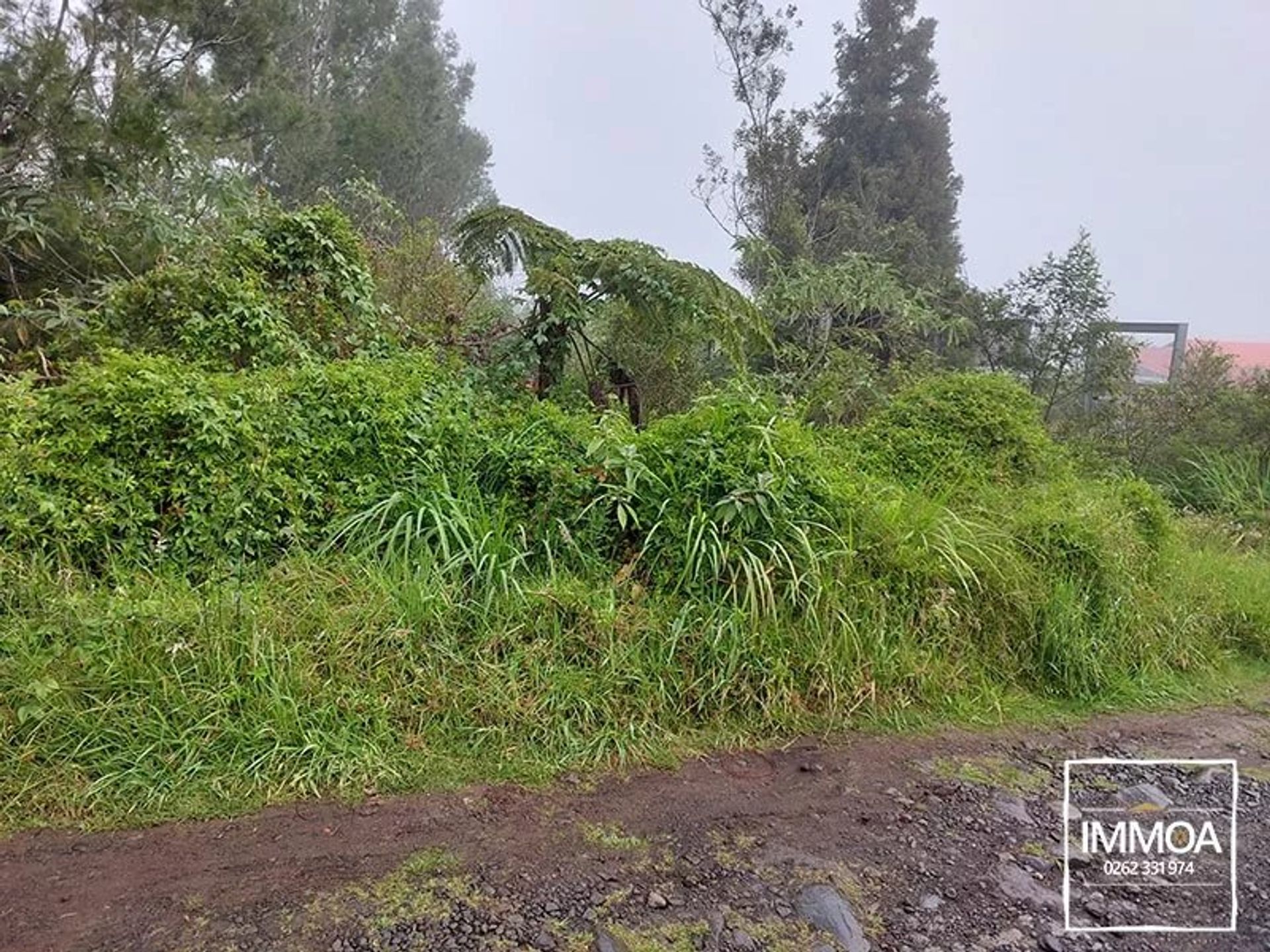 Земельные участки в La Plaine-des-Palmistes, La Réunion 12686682